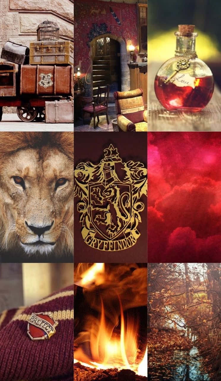 A collage of pictures with different themes - Gryffindor