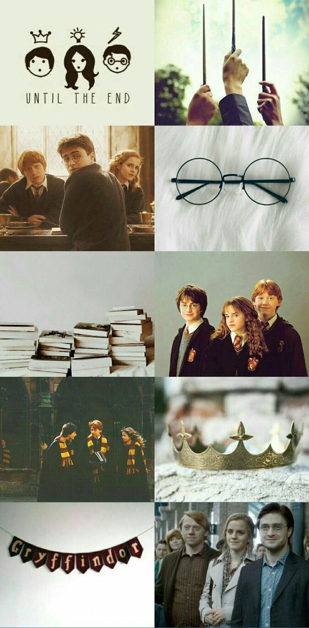 Harry potter and the order of phoenix - Gryffindor