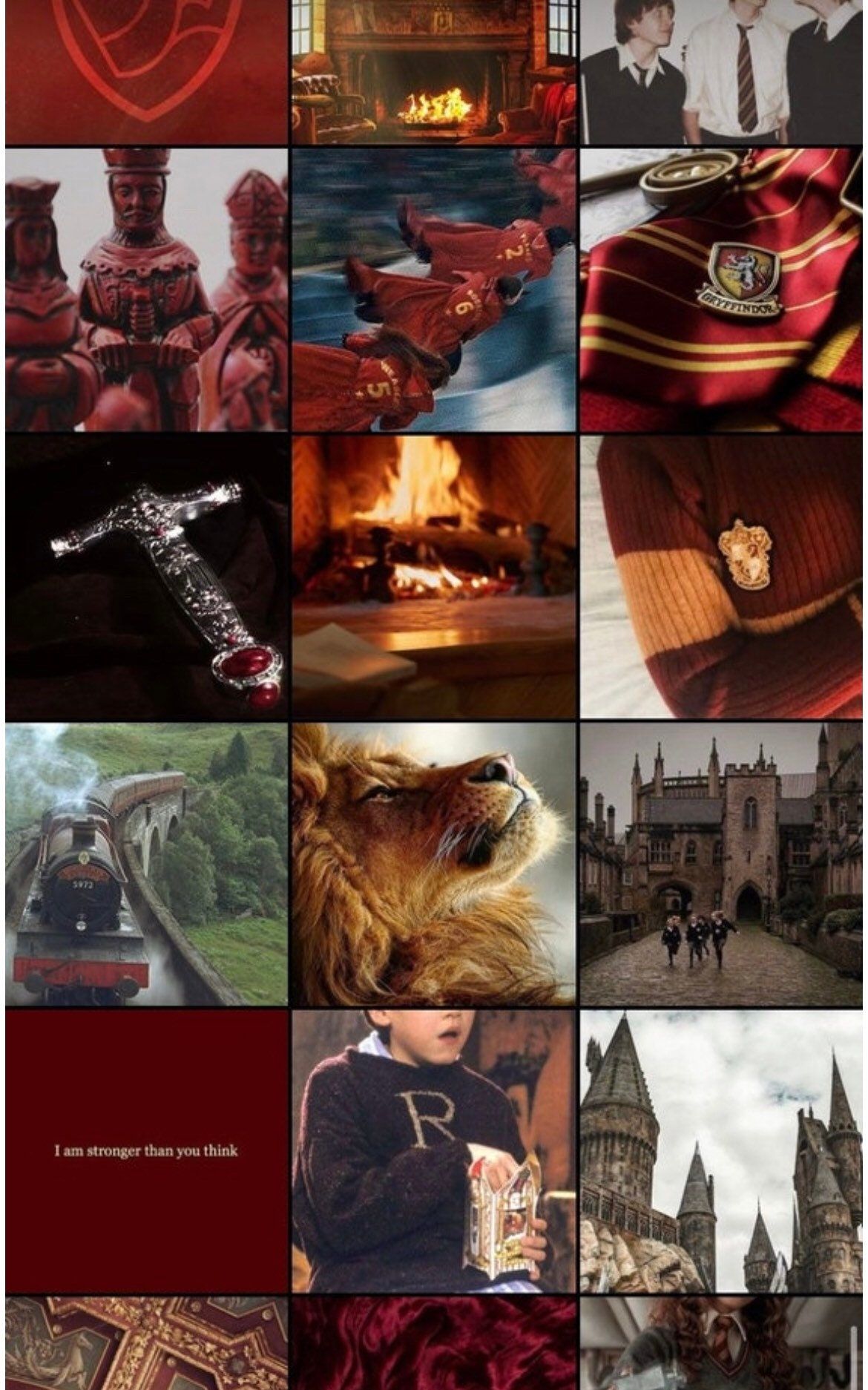 A collage of pictures from harry potter - Gryffindor