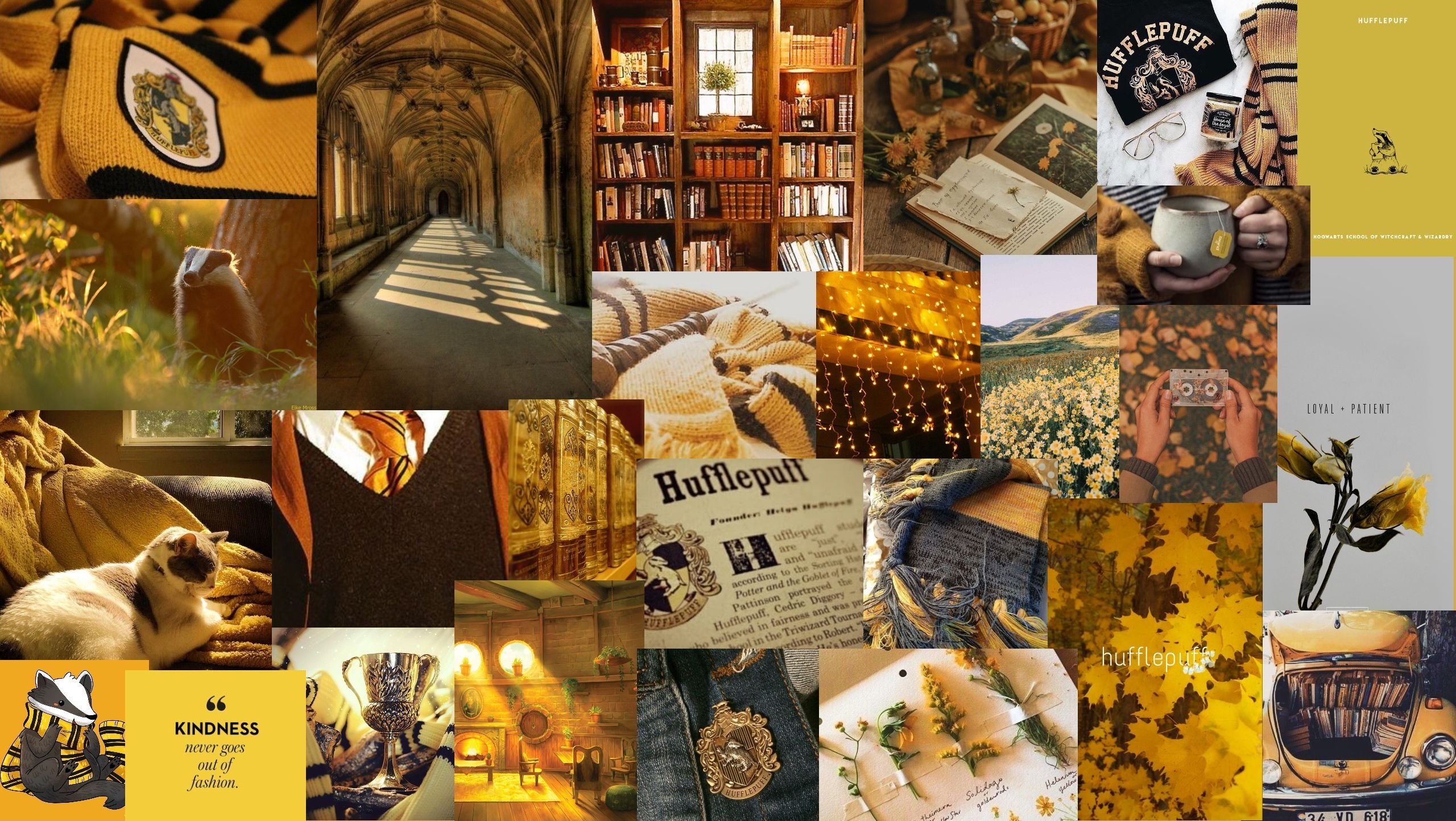 A collage of photos, books, and images of the Hufflepuff house from Harry Potter. - Hufflepuff