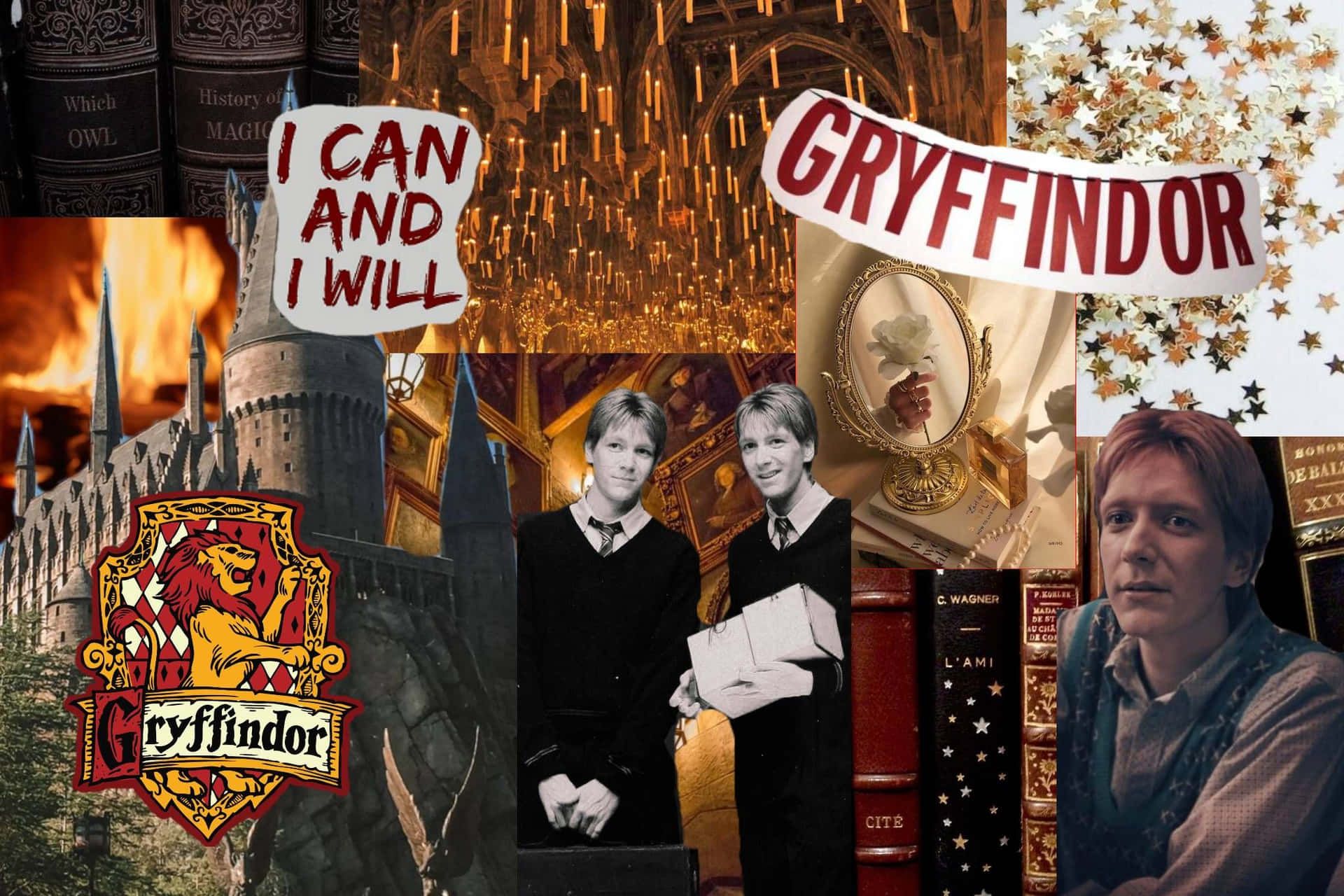 A collage of pictures with the words harry potter - Gryffindor