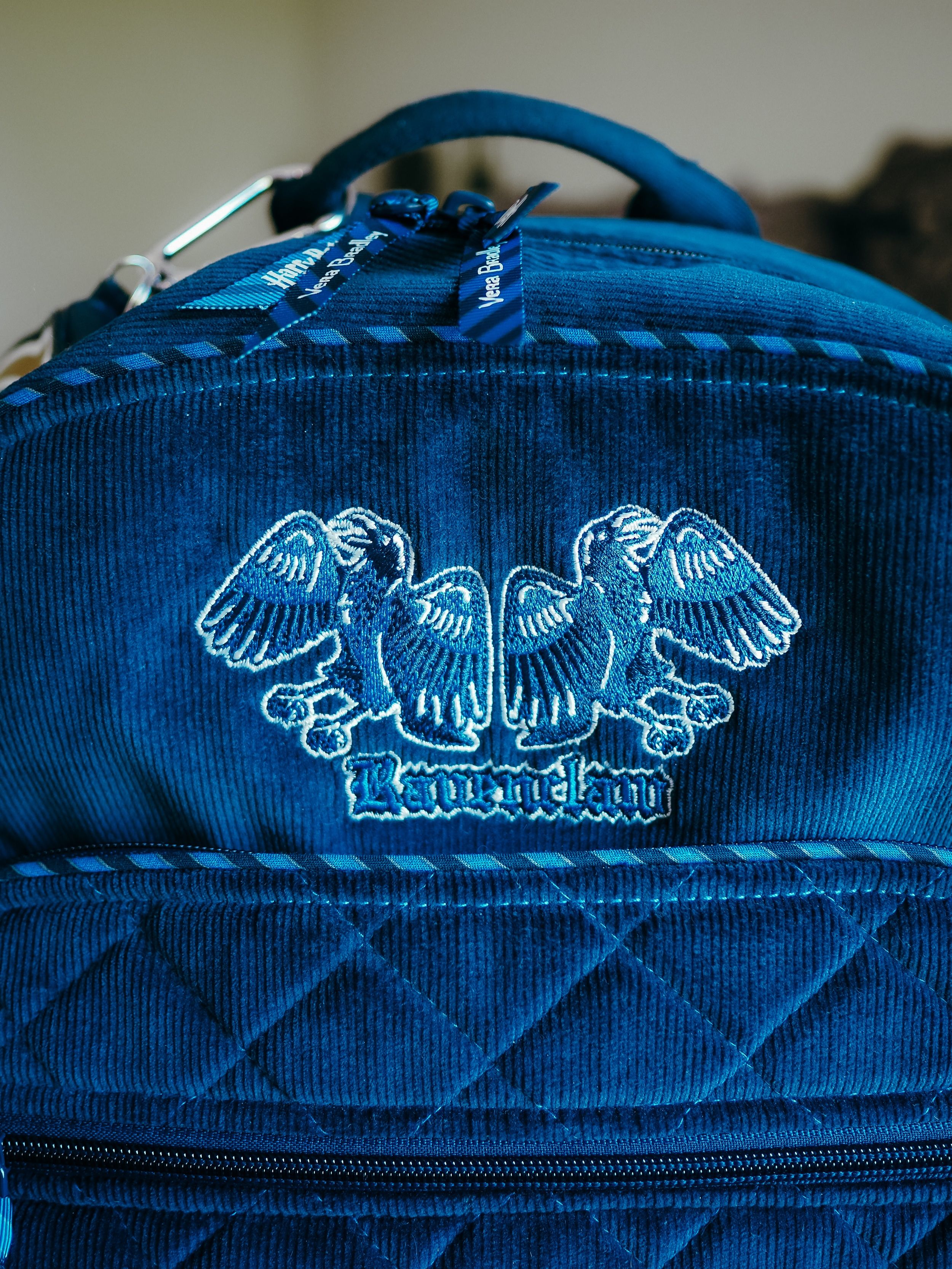 Close up of the back of a blue backpack with the Wasatch logo on it. - Ravenclaw