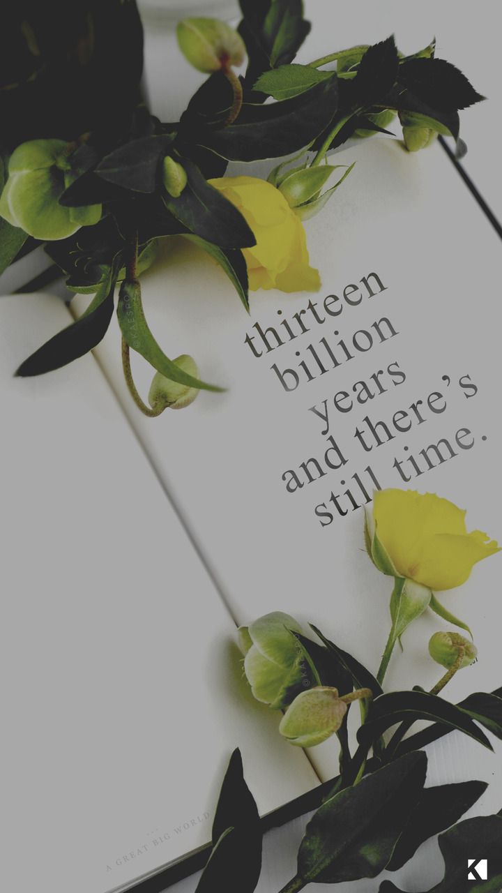 A quote on a book cover with a yellow flower on top. - Hufflepuff