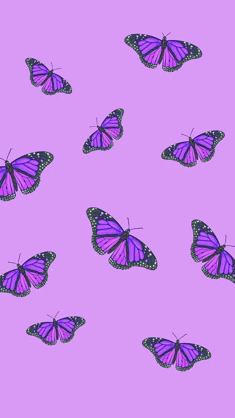 Purple butterfly wallpaper, aesthetic backgrounds, purple background, purple butterfly wallpaper, butterfly wallpaper, aesthetic backgrounds, aesthetic backgrounds, aesthetic backgrounds, aesthetic backgrounds - Spiritual