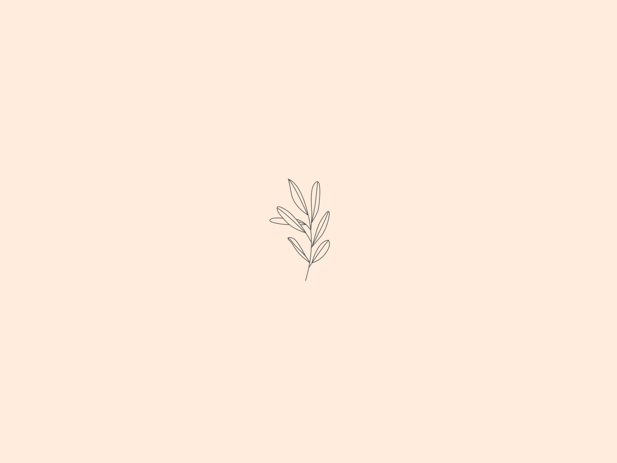 A small leaf on an off white background - Beige, minimalist beige