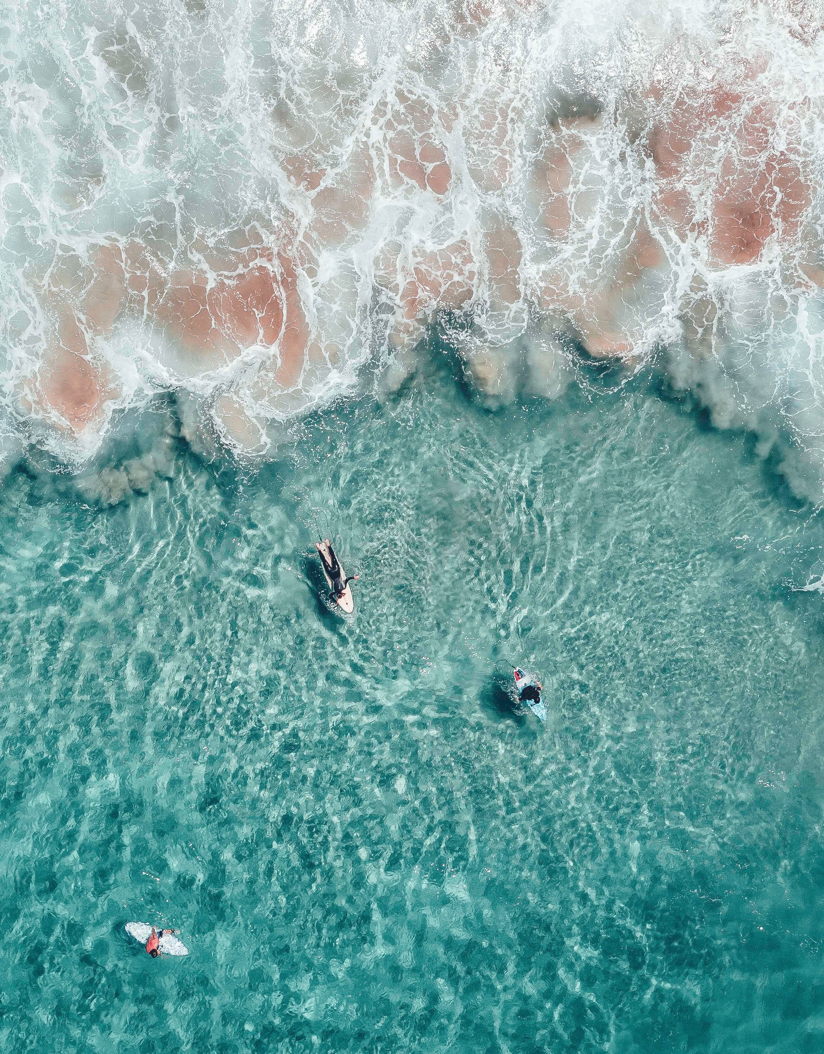 Aerial view of three surfers waiting for a wave - Beach, water, surf