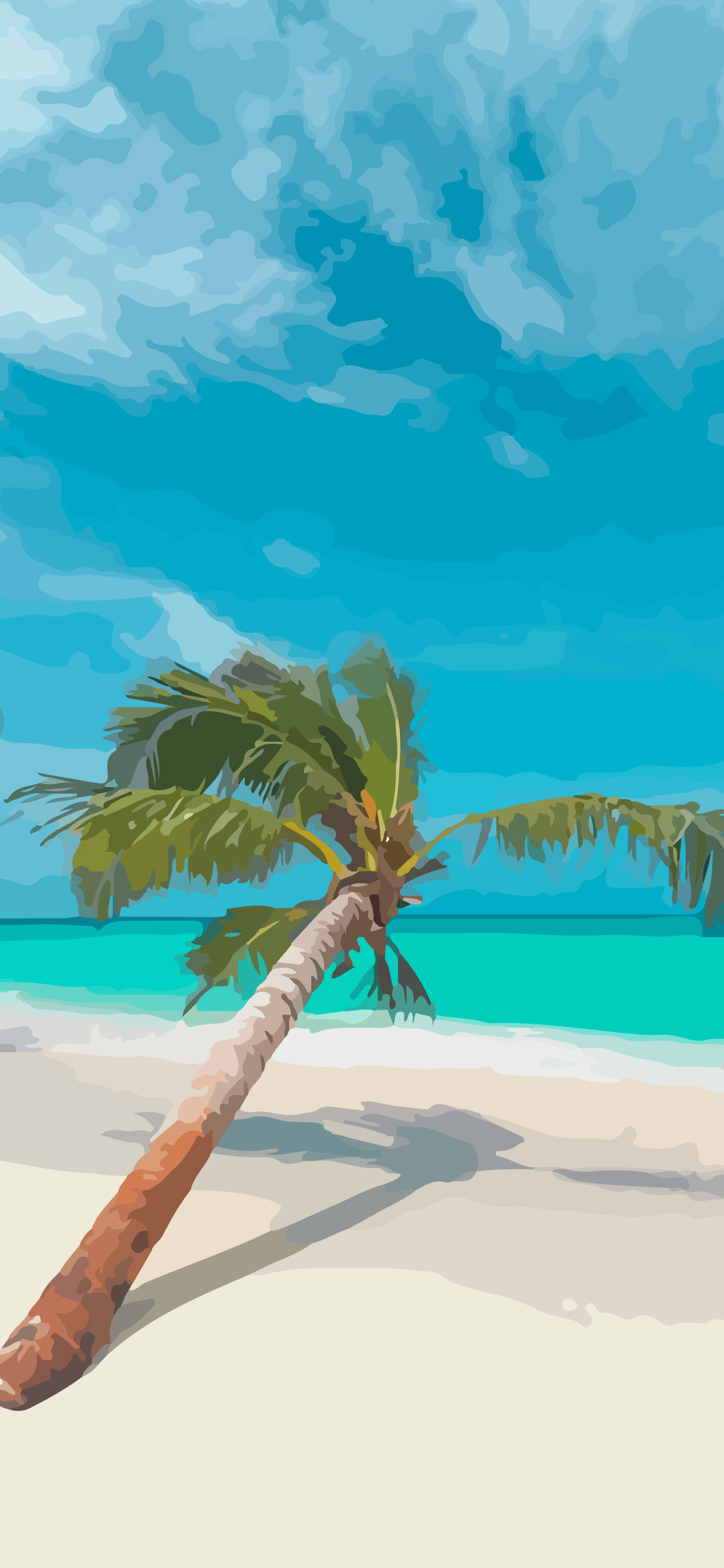 A palm tree on the beach - Beach
