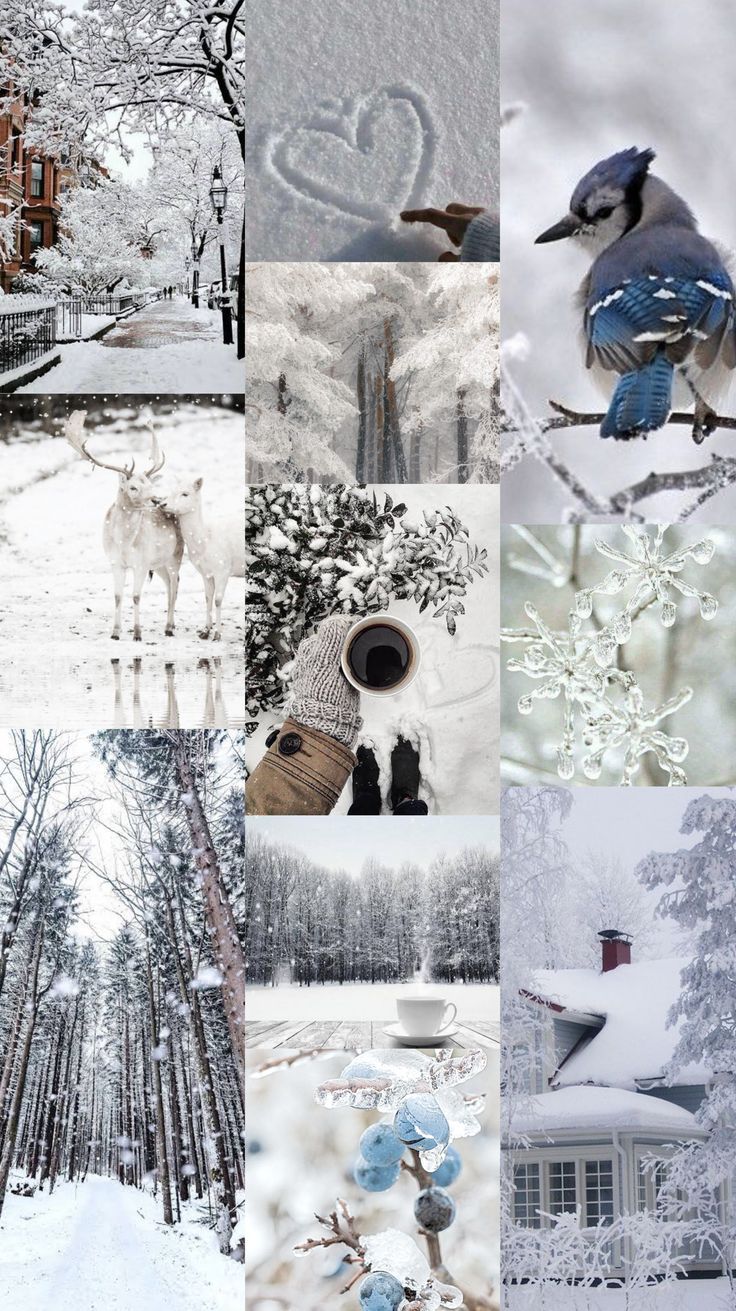 Aesthetic wallpaper #white. Winter wallpaper, iPhone wallpaper winter, Christmas phone wallpaper