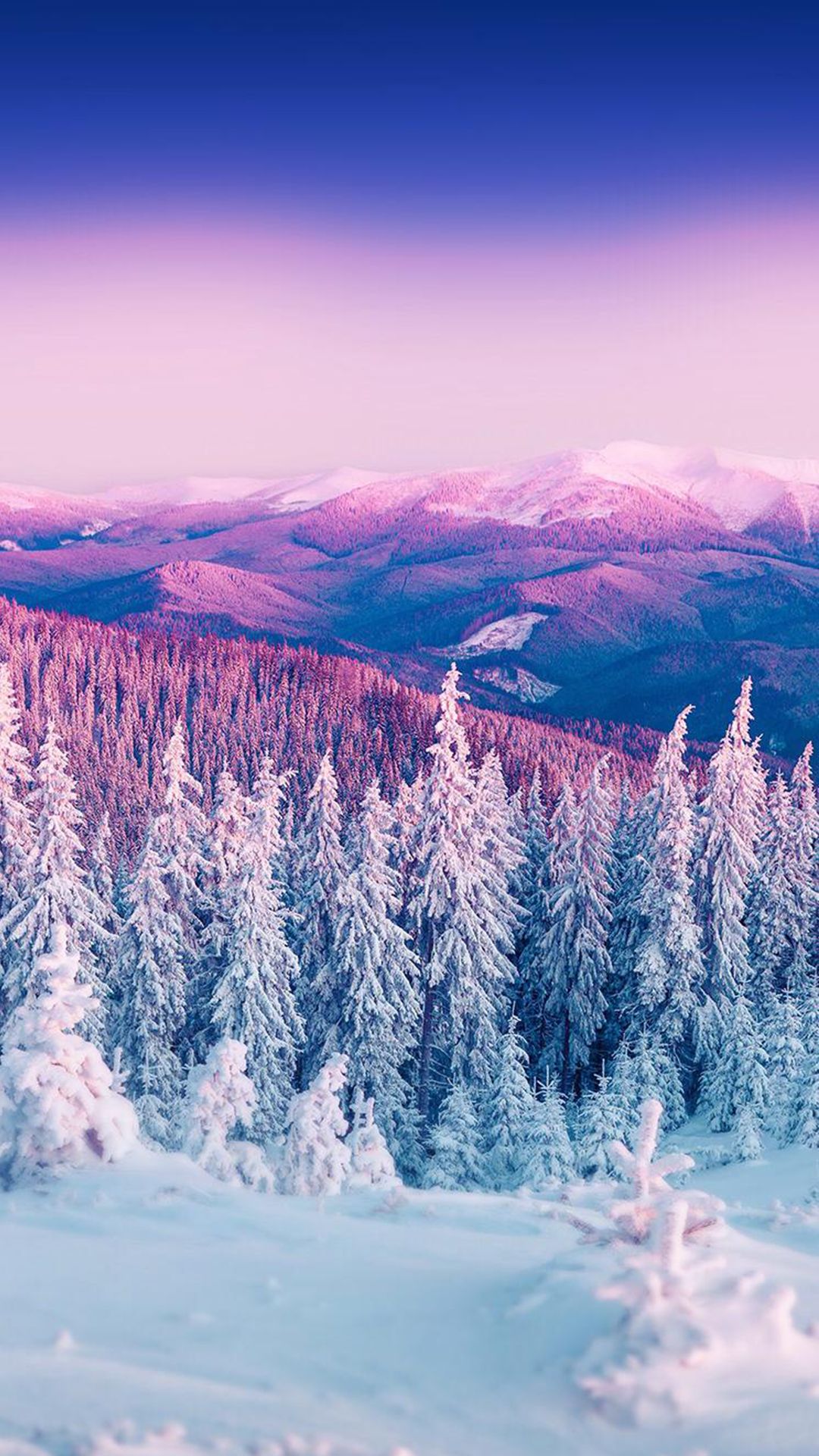 A snowy mountain with trees and pink sky - Winter, snow, Texas