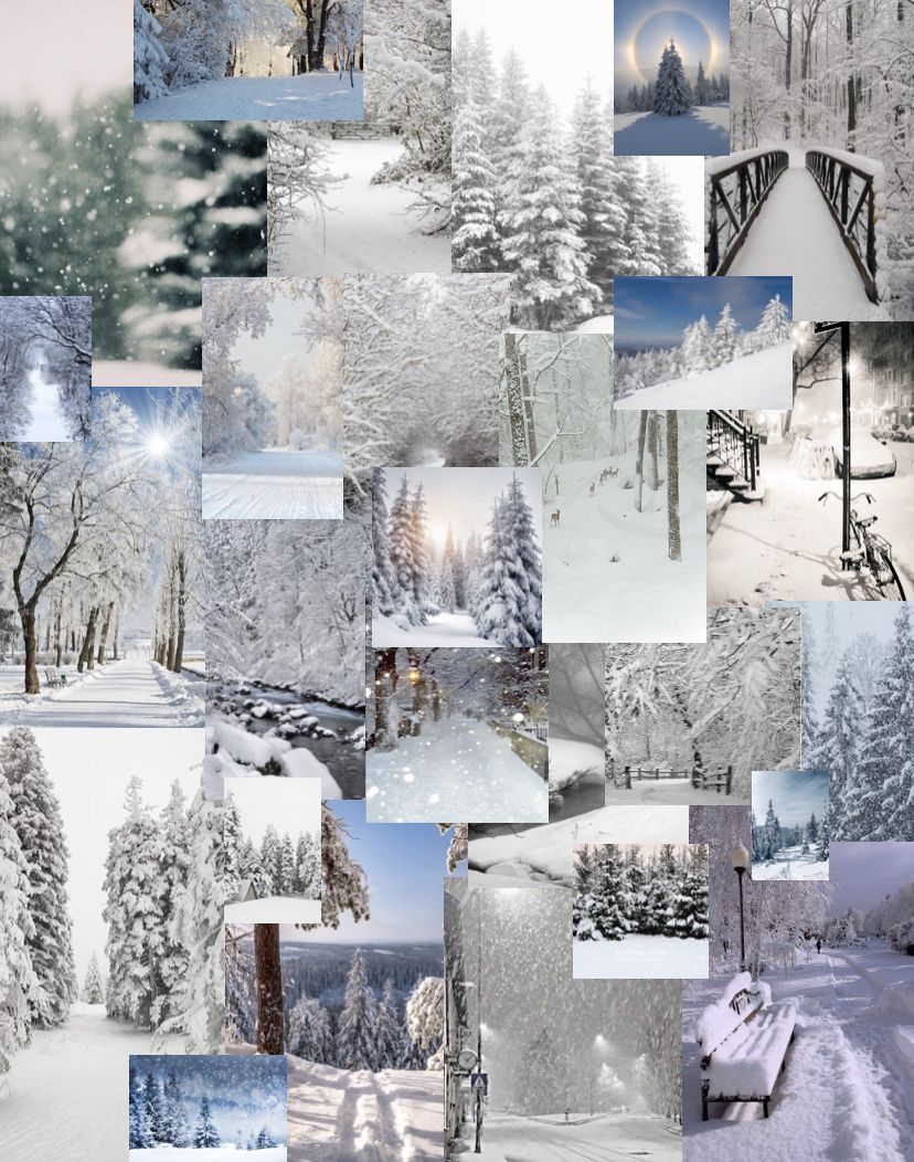 Collage of winter scenes including snow covered trees, benches, and a snowy path. - Winter