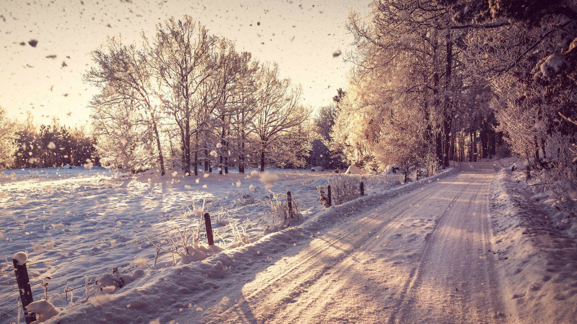 A snowy road with trees and fence - Winter