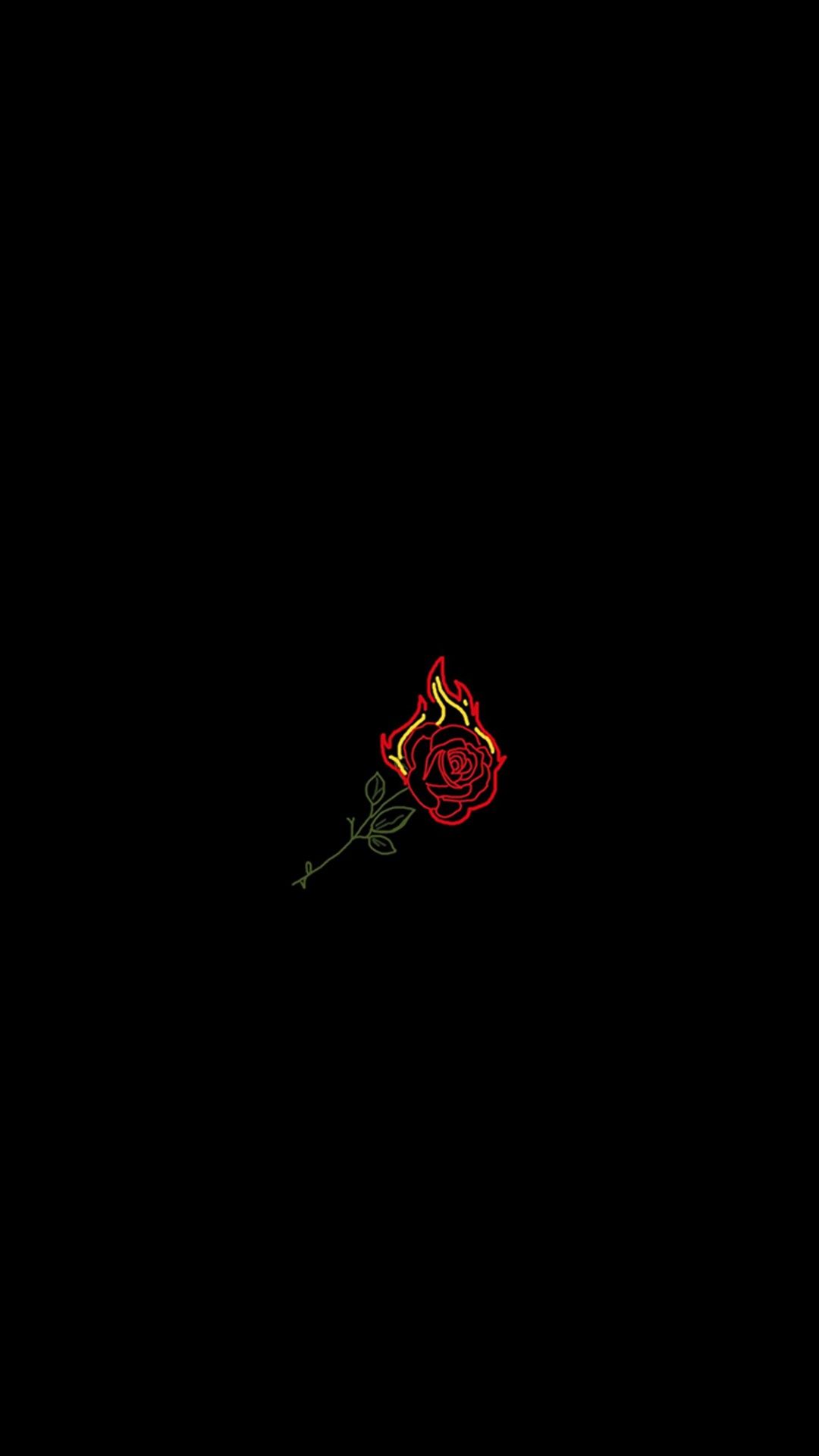 A single rose in the dark on black background - Black