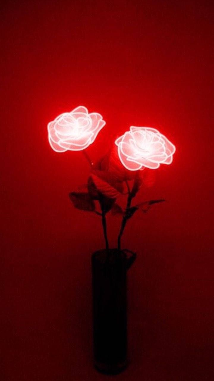 A vase with two roses lit up in red light. - Red, neon red
