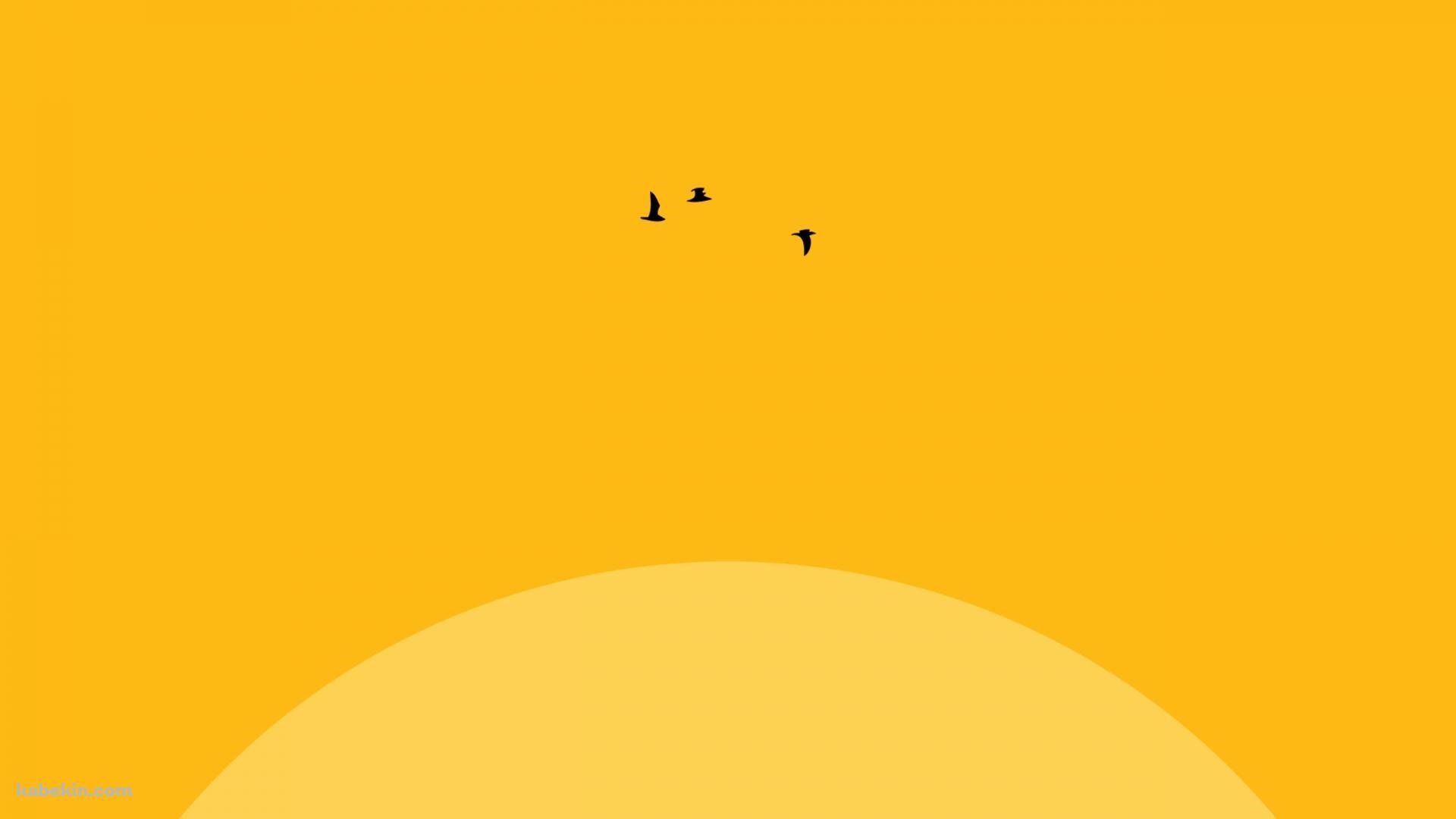 Two birds flying in the sky during sunset wallpaper - Yellow