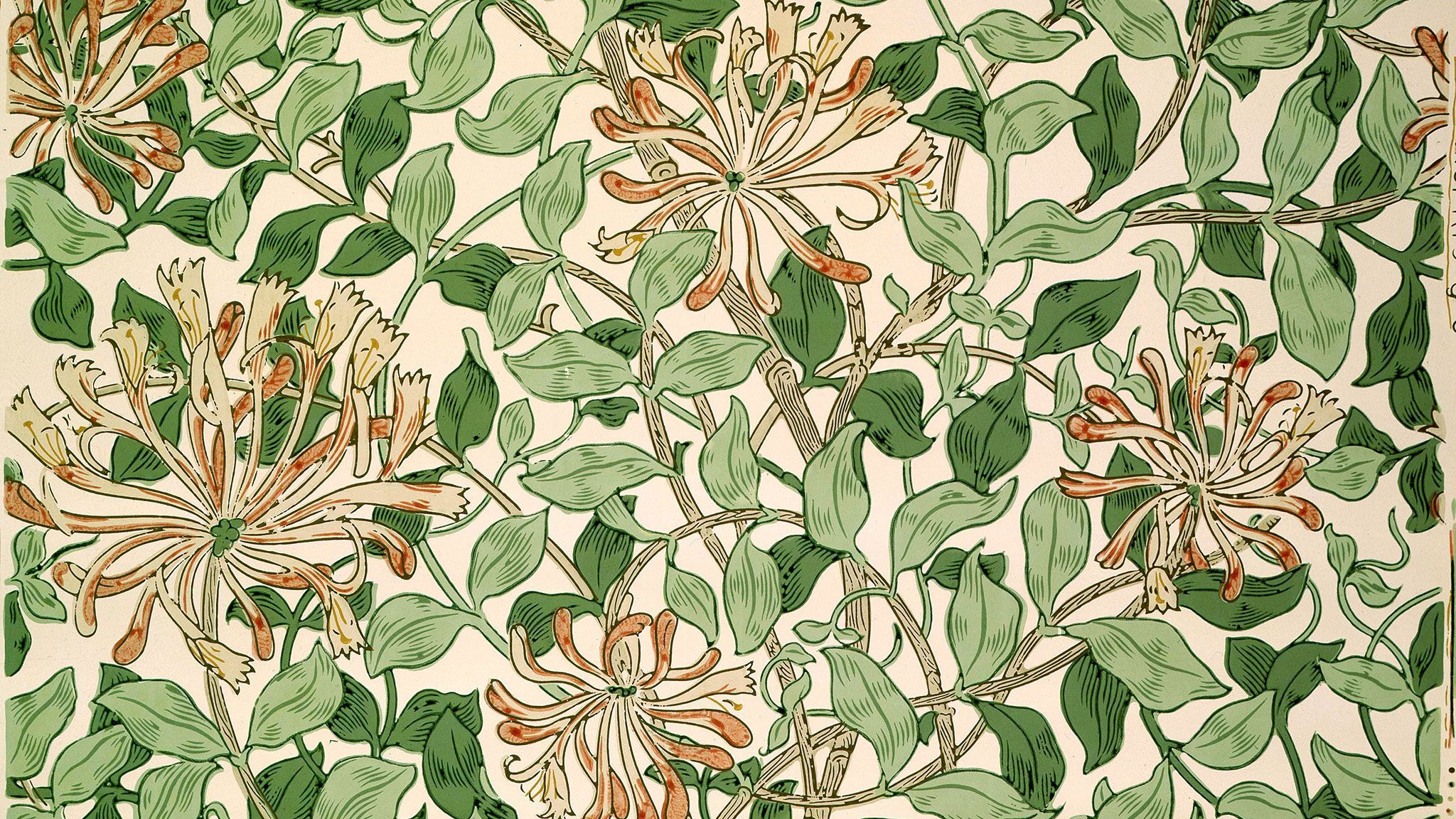 A drawing of flowers and leaves on paper - Cottagecore