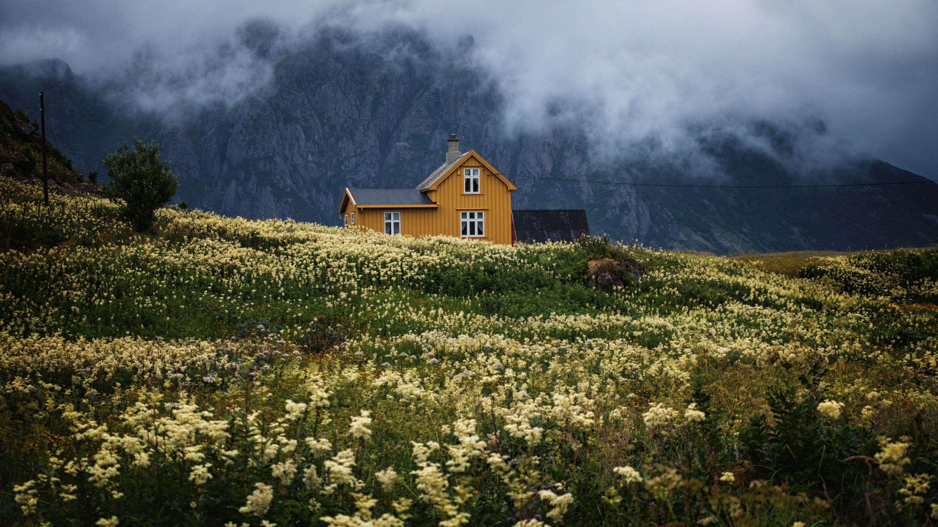 A yellow house sits on a hill with a large mountain in the background. - Cottagecore
