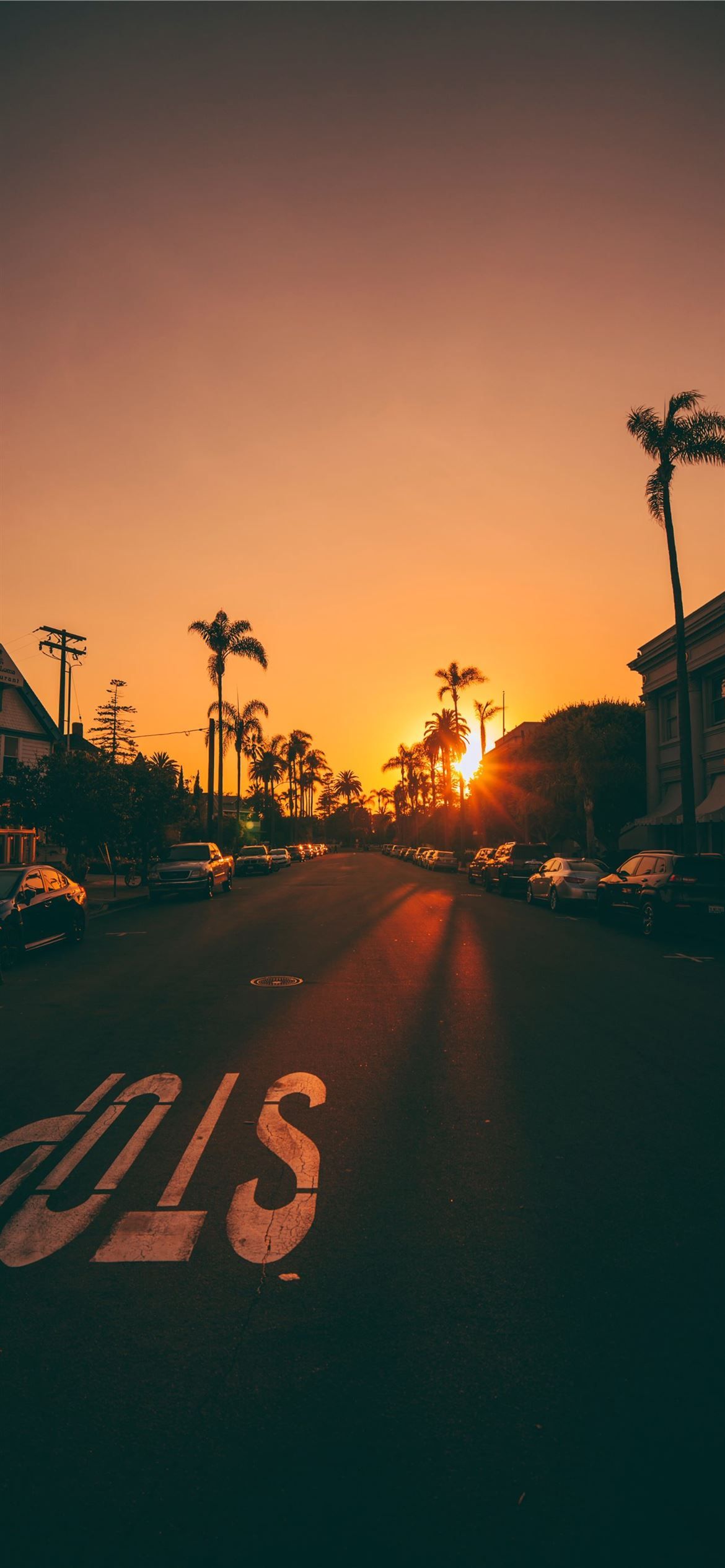 A sunset over a road with cars parked on the side - Sunset