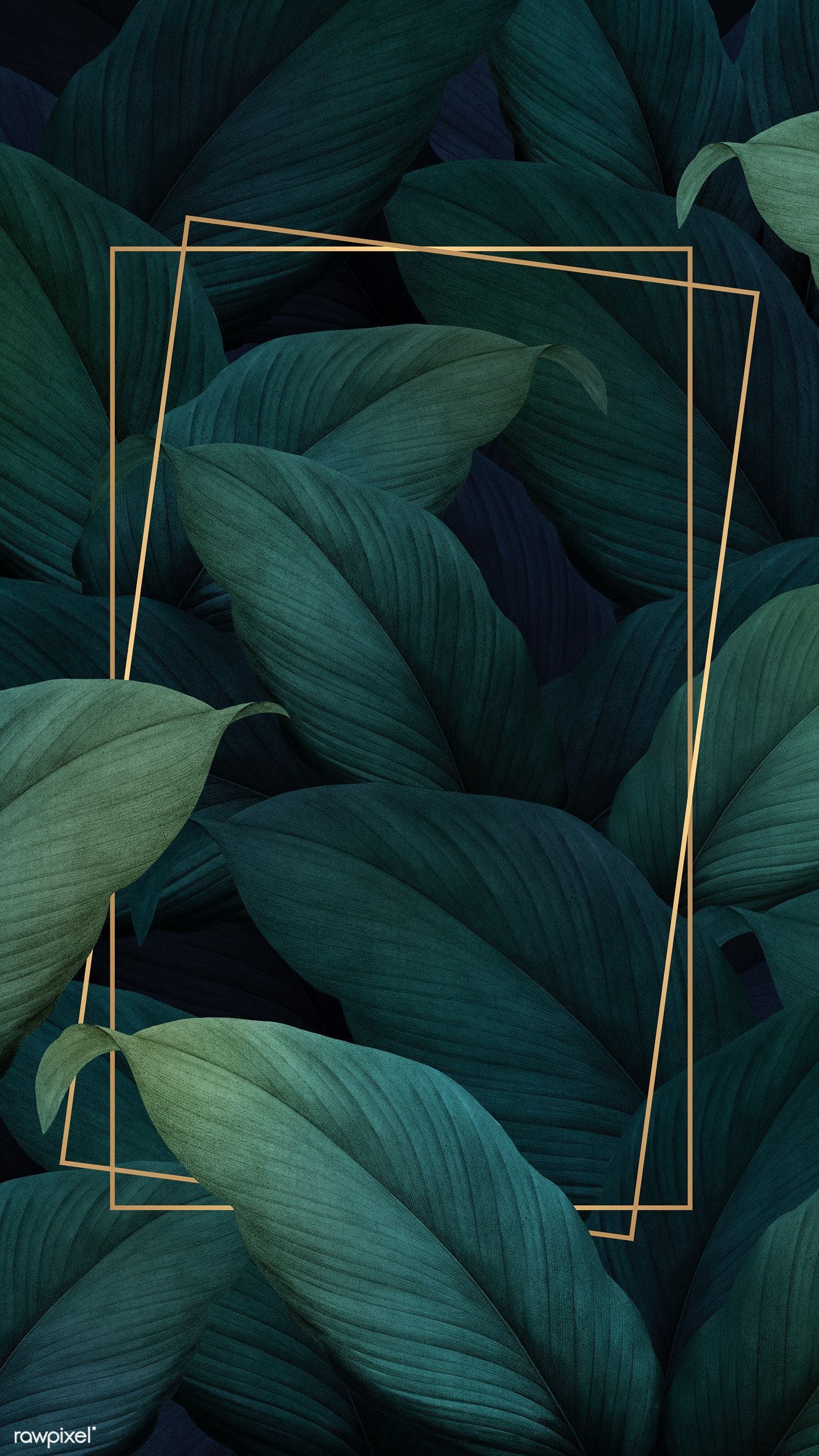 A green leafy background with gold frames - Leaves, tropical