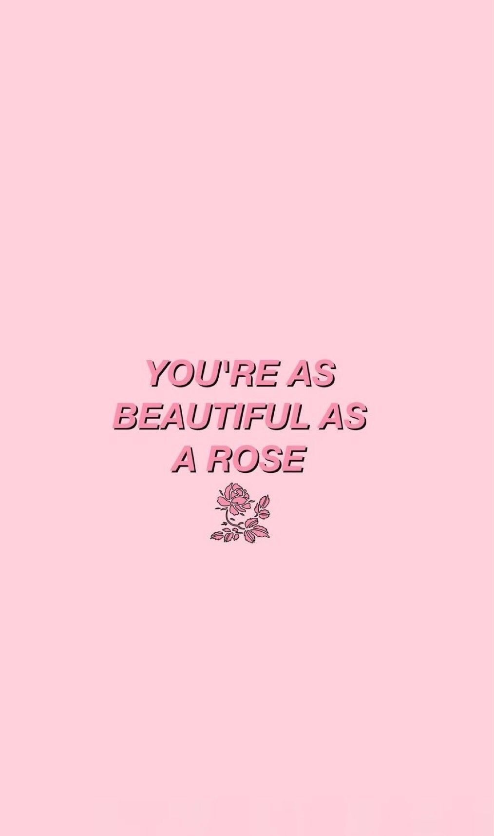 You are as beautiful a rose - Roses, pink, beautiful, iPhone, pastel, cute pink, cute, cute iPhone, pretty, pastel pink, pink phone, light pink, bestie, hot pink
