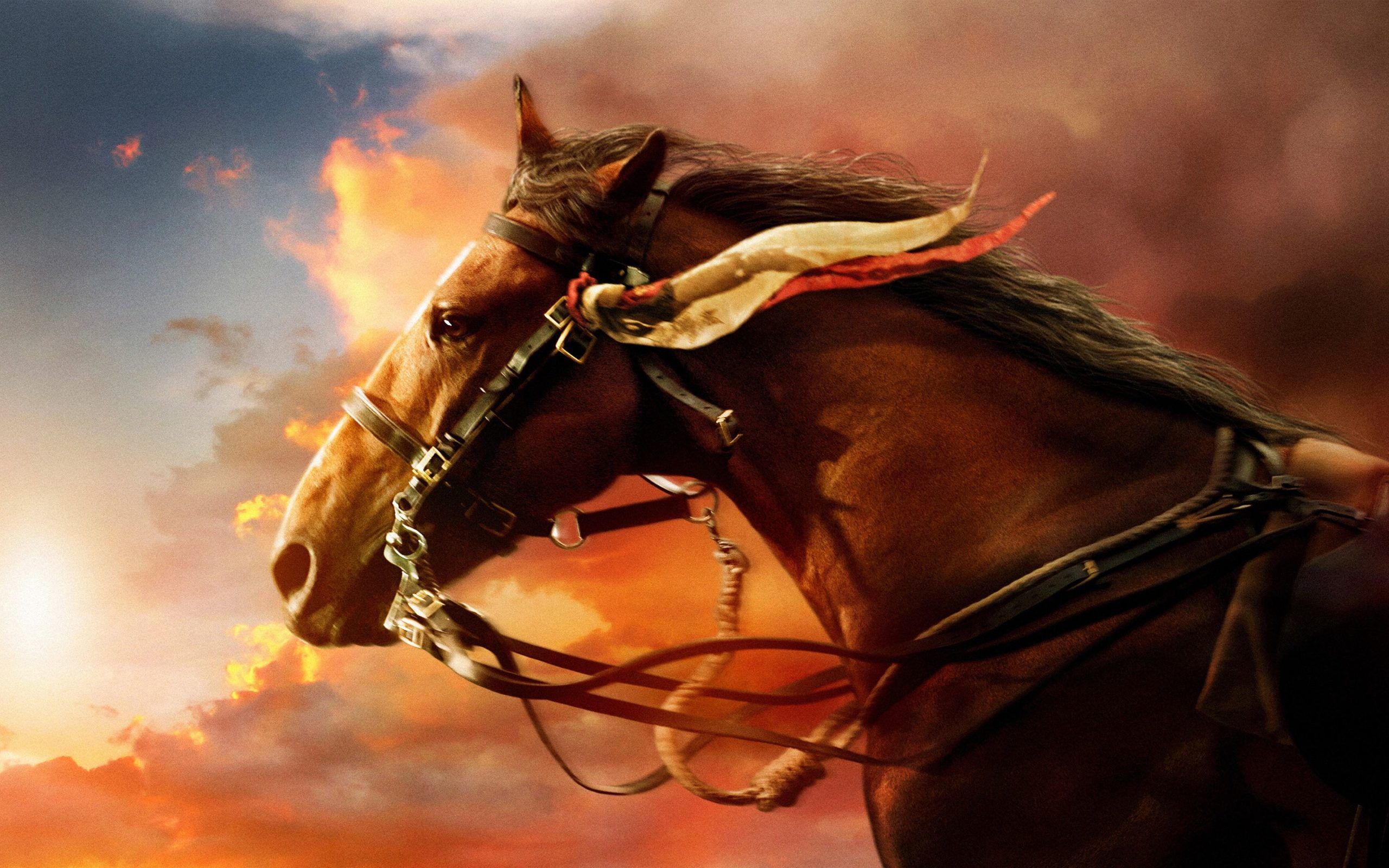 Horse Image & Wallpaper