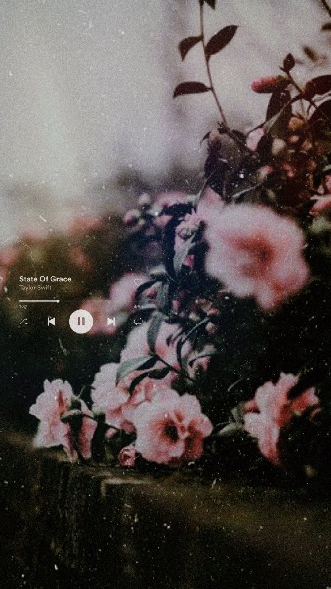 IPhone wallpaper with a pink flower bush and a Spotify player - Taylor Swift