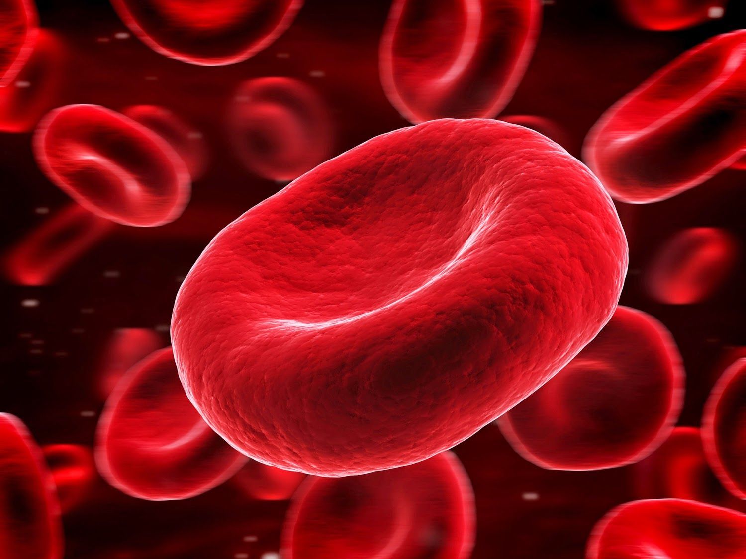 Blood cells and red liquid in the background - Blood