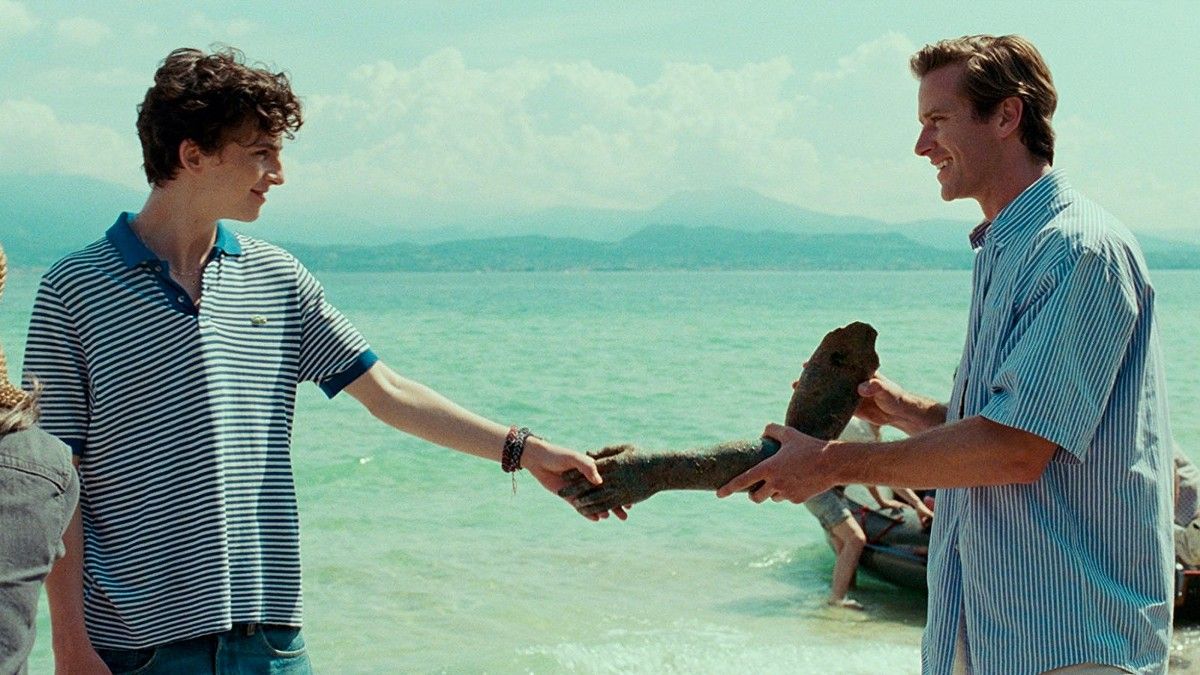 Timothée Chalamet and Armie Hammer hold hands in a scene from Call Me By Your Name. - Gay