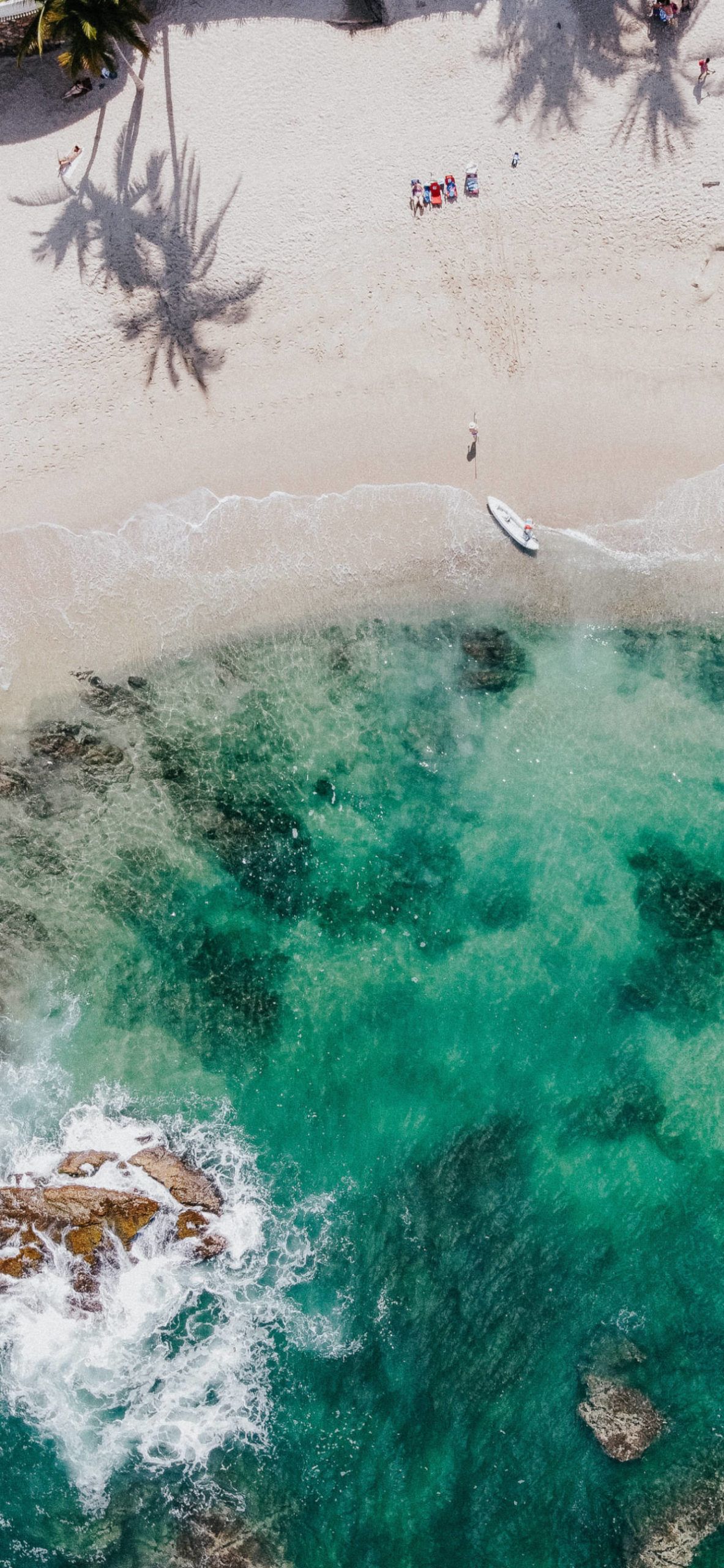 Aerial view of a beach with palm trees and a boat in the water. - Mexico