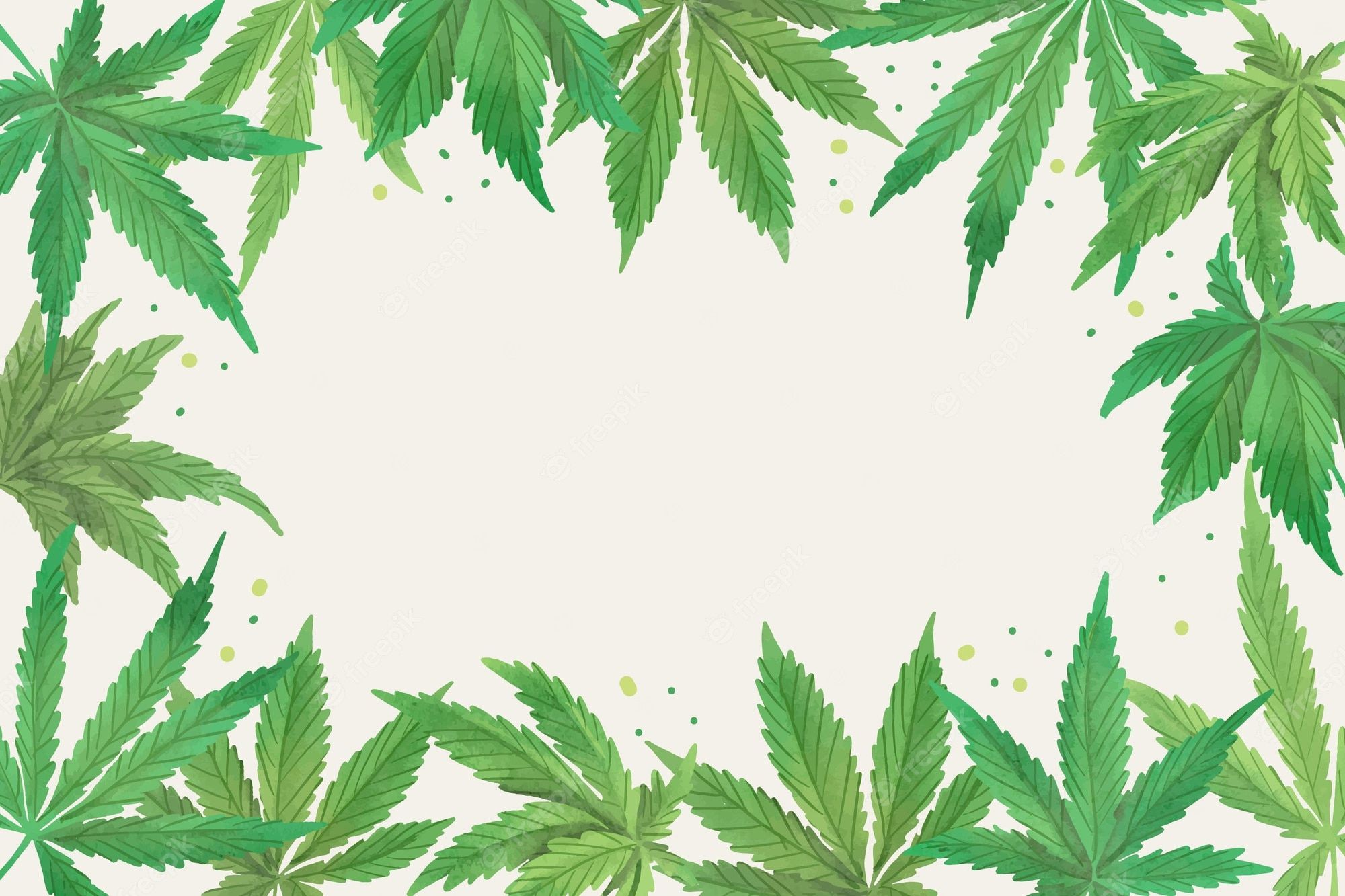 A green marijuana leaf frame with white background - Weed