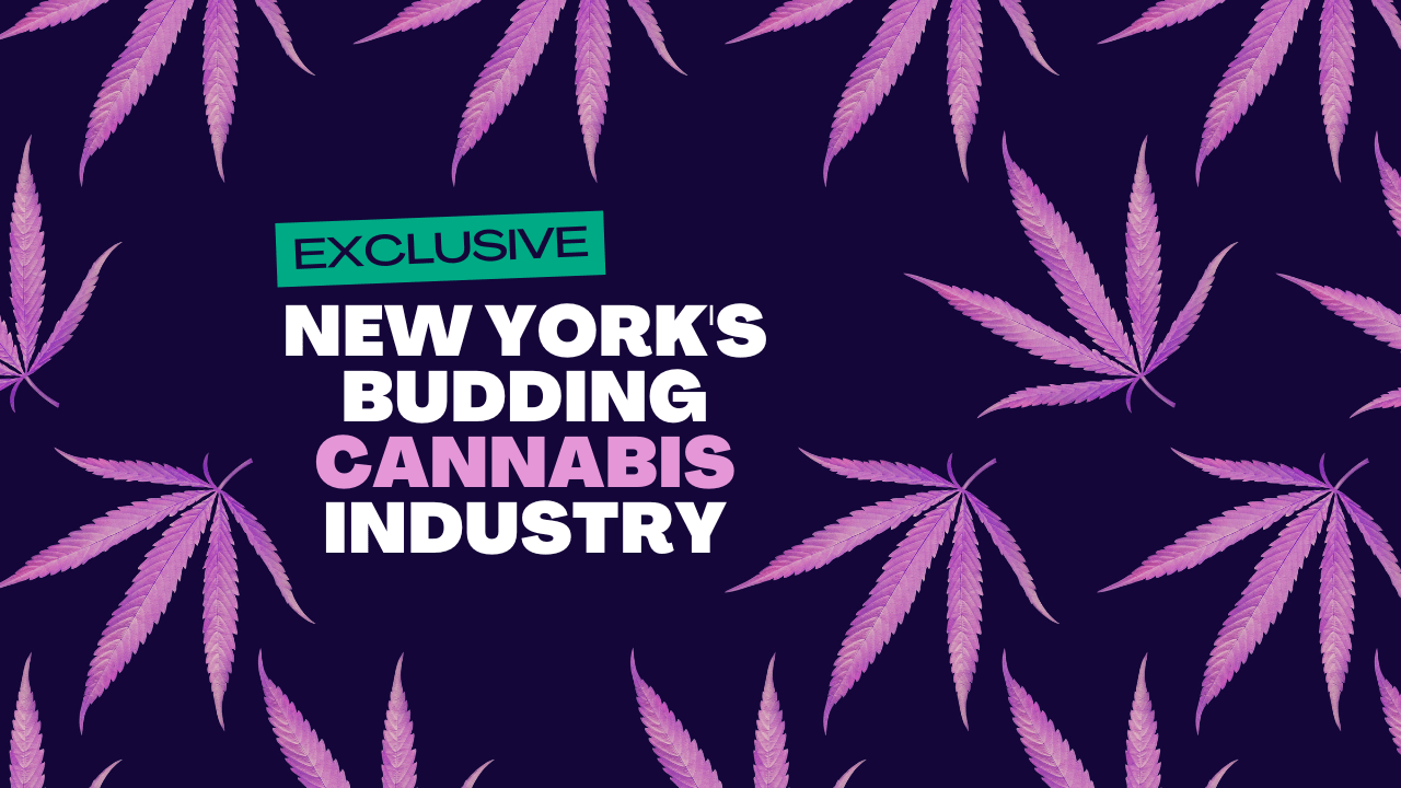 New York NOW. New York's Budding Cannabis Industry. Season 2022