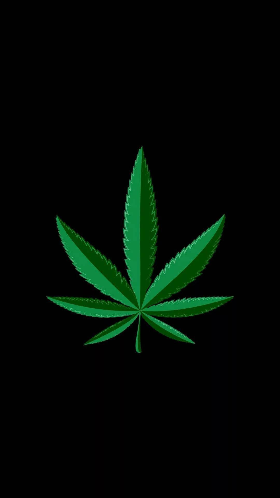 A green marijuana leaf on black background - Weed