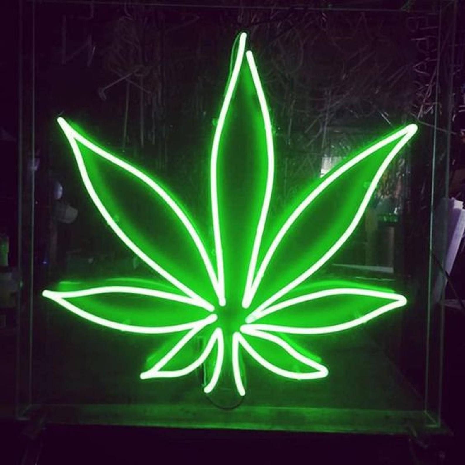 A neon sign of a cannabis leaf. - Weed