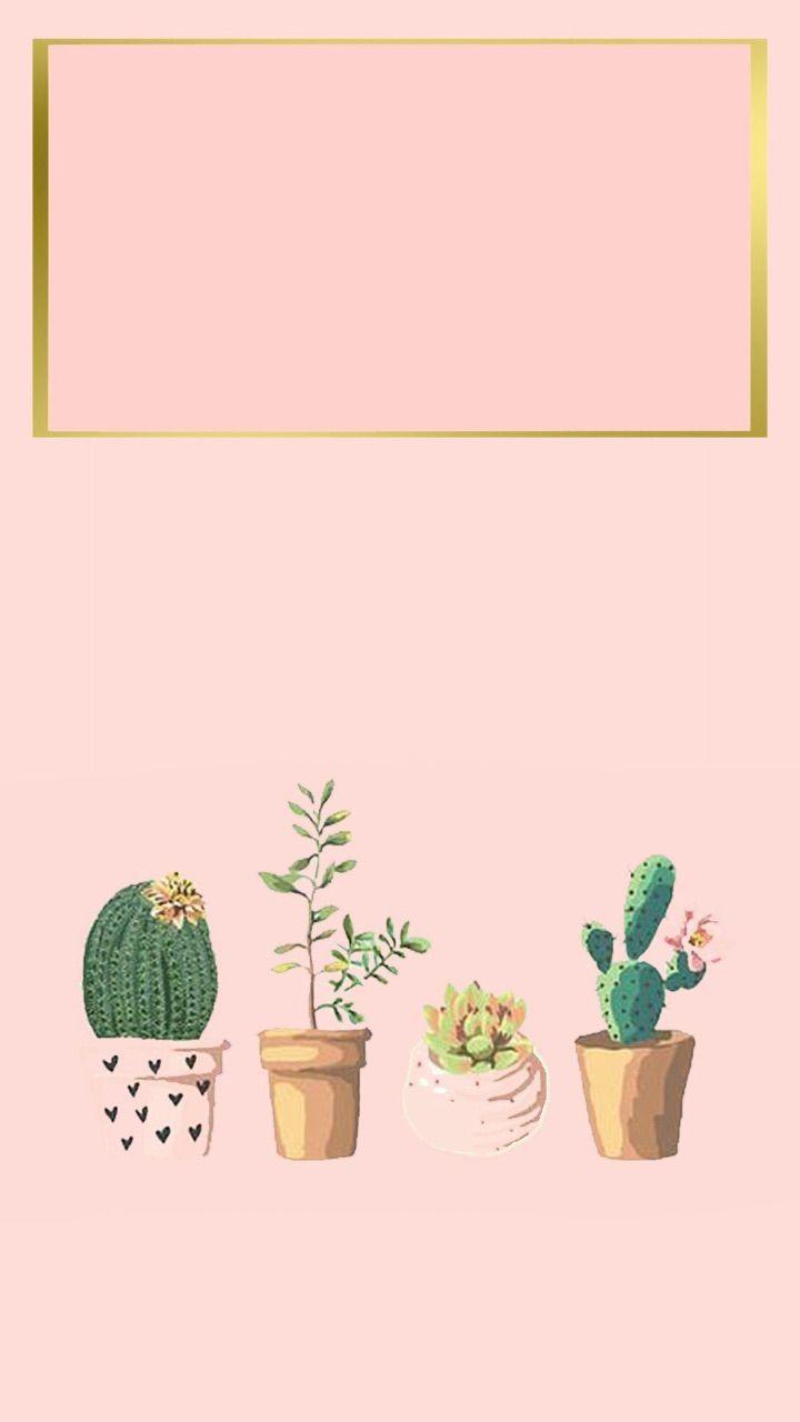 IPhone wallpaper, cactus wallpaper, phone background, cute background, aesthetic background, aesthetic phone background, pink background, gold background, plant background, phone background, wallpaper background, phone wallpaper background - Cactus