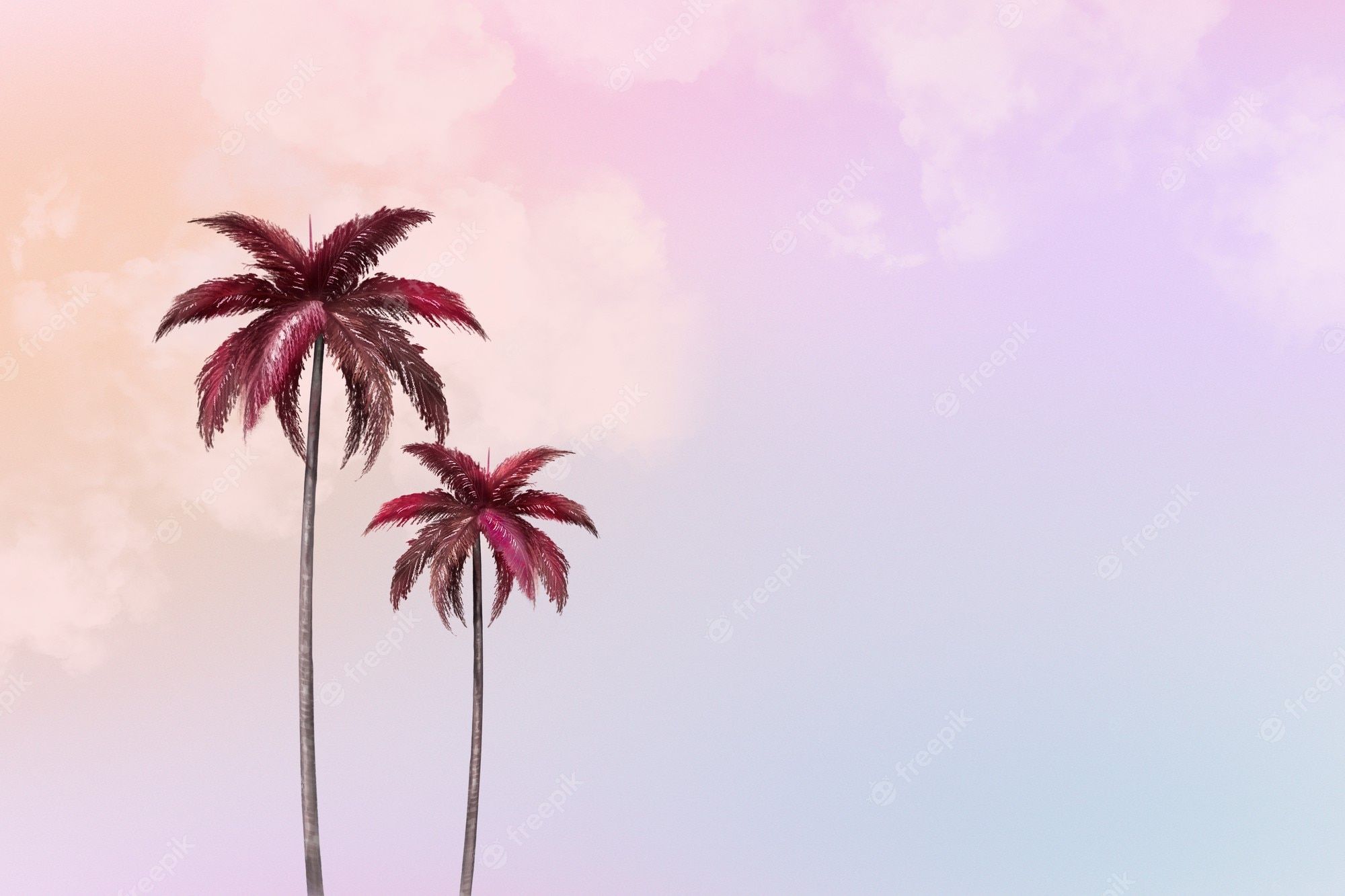 Free Photo. Aesthetic background with palm tree