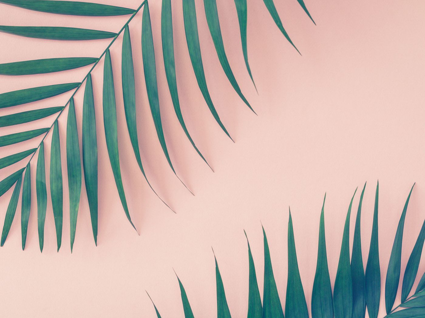 Why palm frond print is so popular every summer