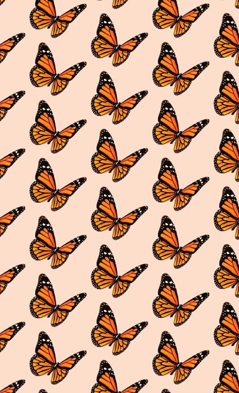 Monarch butterfly wallpaper that I created for my phone! - VSCO, butterfly