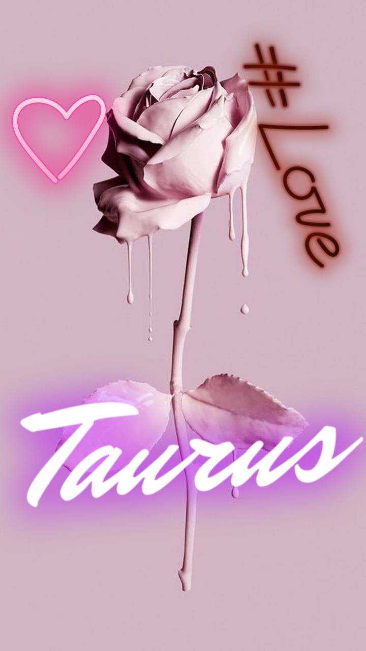 A rose with the word taurus written in pink neon - Taurus