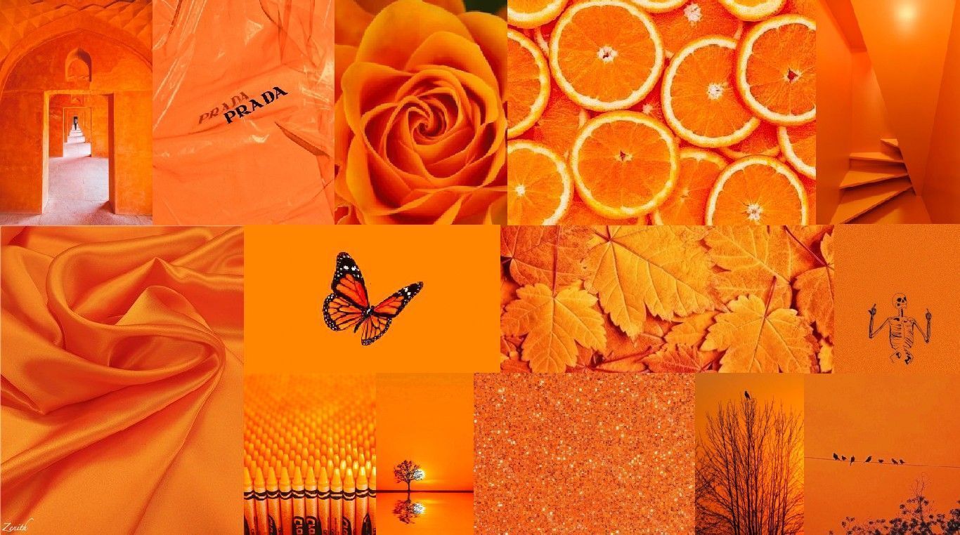 Aesthetic collage of orange images including roses, oranges, and a butterfly. - Orange, neon orange