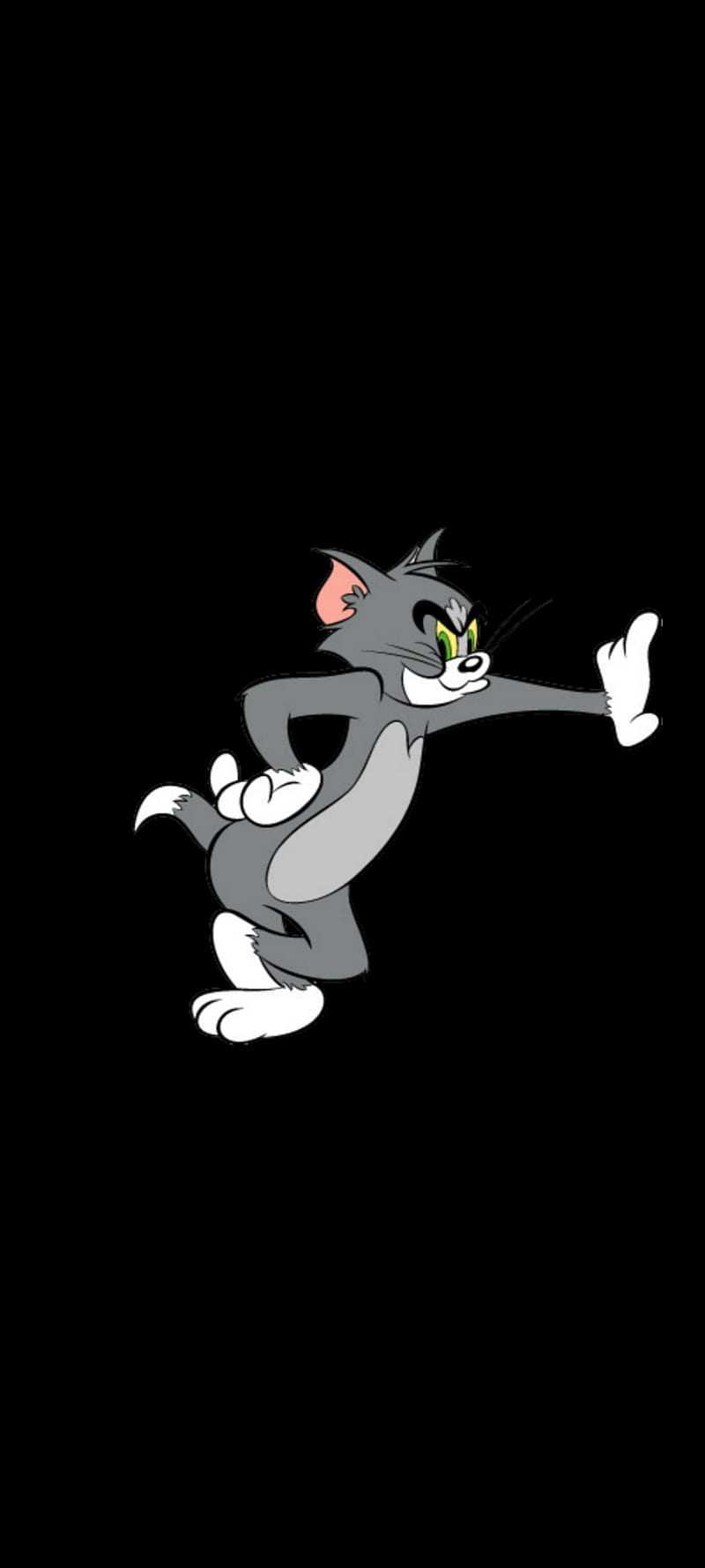 Tom cat wallpaper for iPhone from the 2020 wallpaper collection - Tom and Jerry