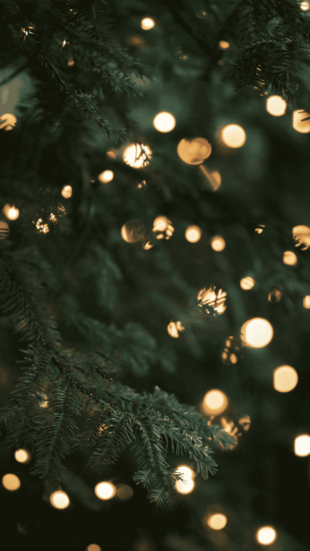 A close up of a Christmas tree with fairy lights. - Christmas, Christmas lights, cute Christmas, December, warm, fairy lights