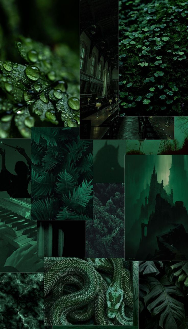 A collage of green images with water droplets - Dark green