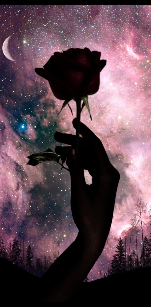 Aesthetic wallpaper of a hand holding a rose against a starry sky - Black rose