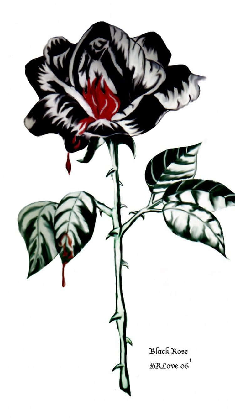 Download Black Rose Aesthetic Wallpaper