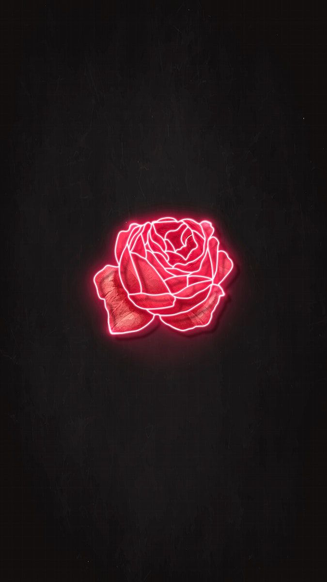 A neon red rose on black background - Black rose