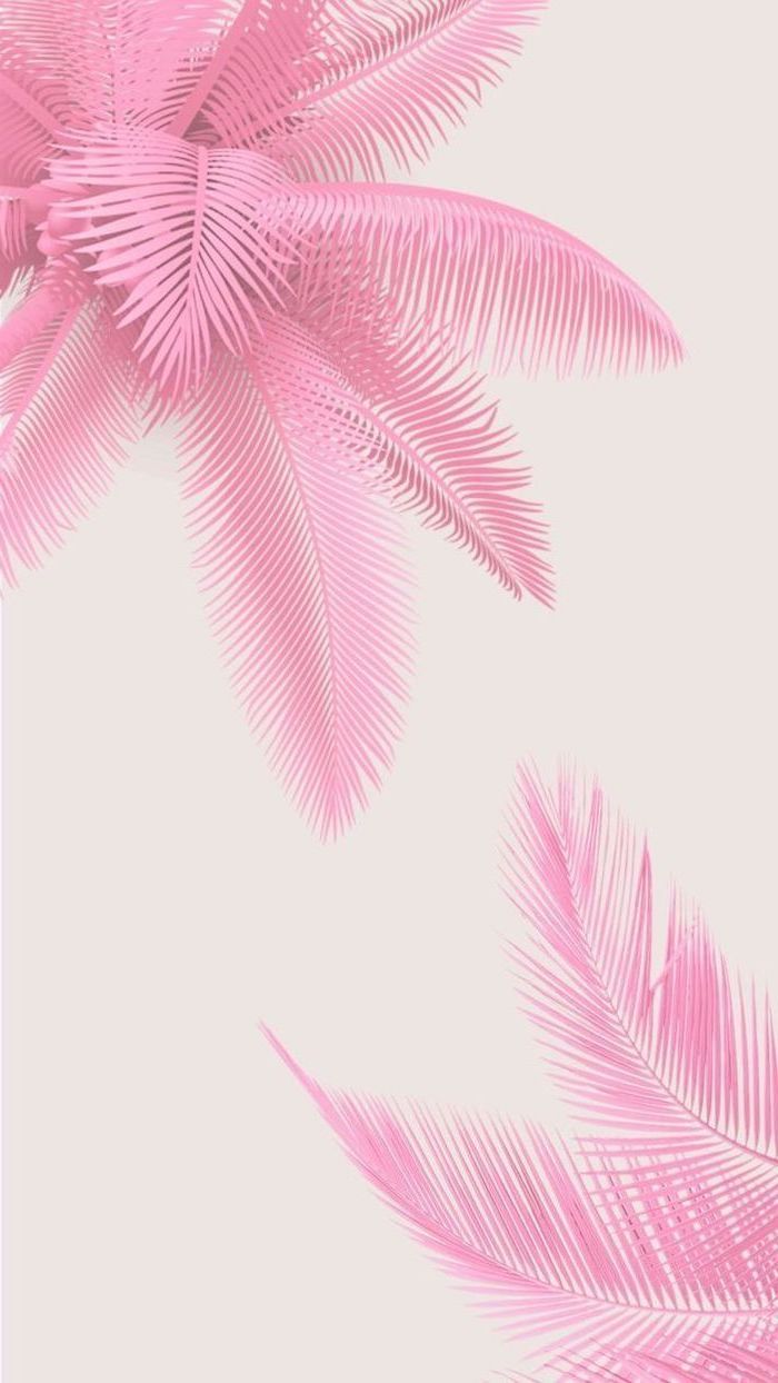 A pink palm leaf background with white and beige - Cute pink