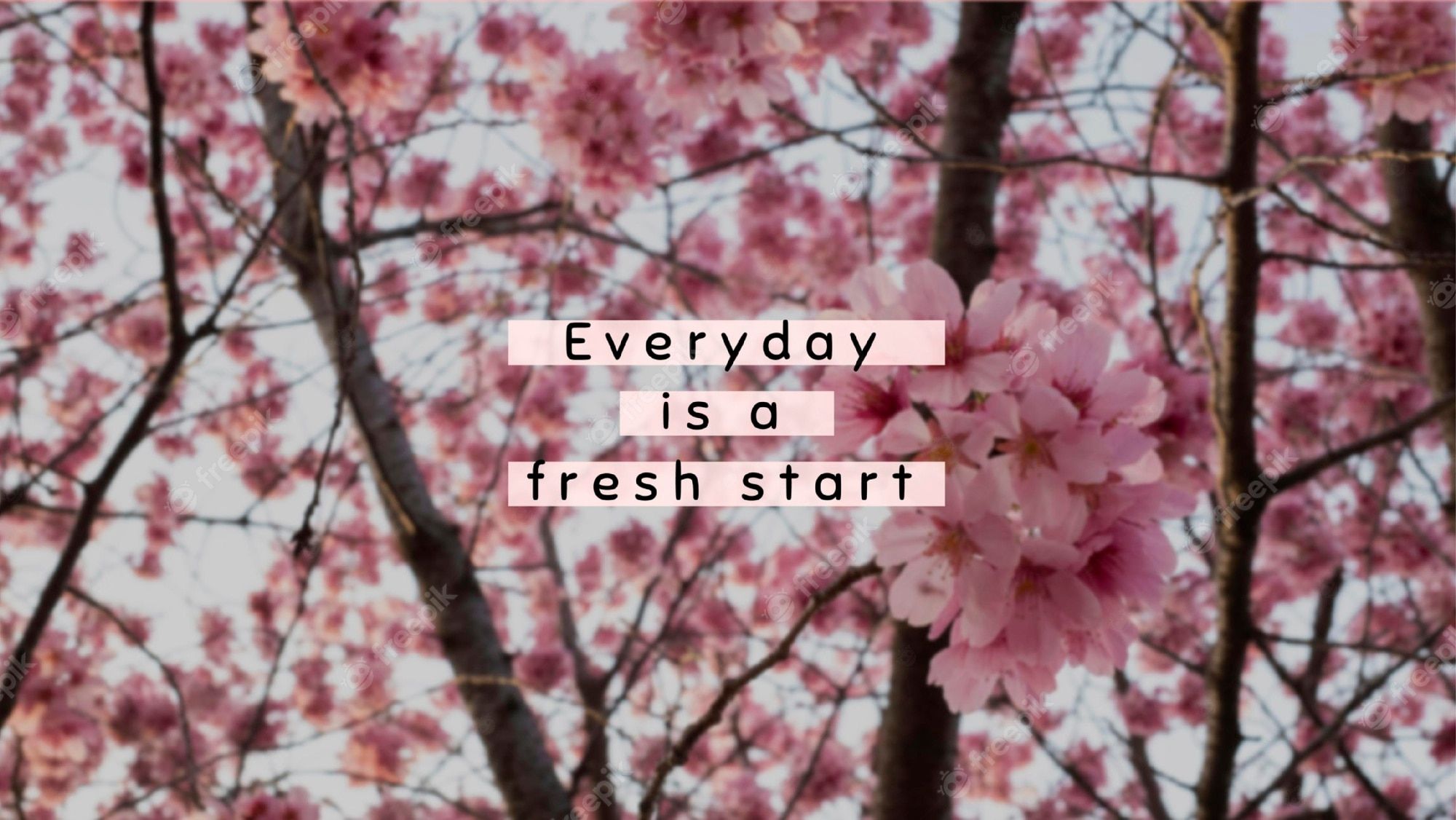 Every day is a fresh start. - Vintage fall