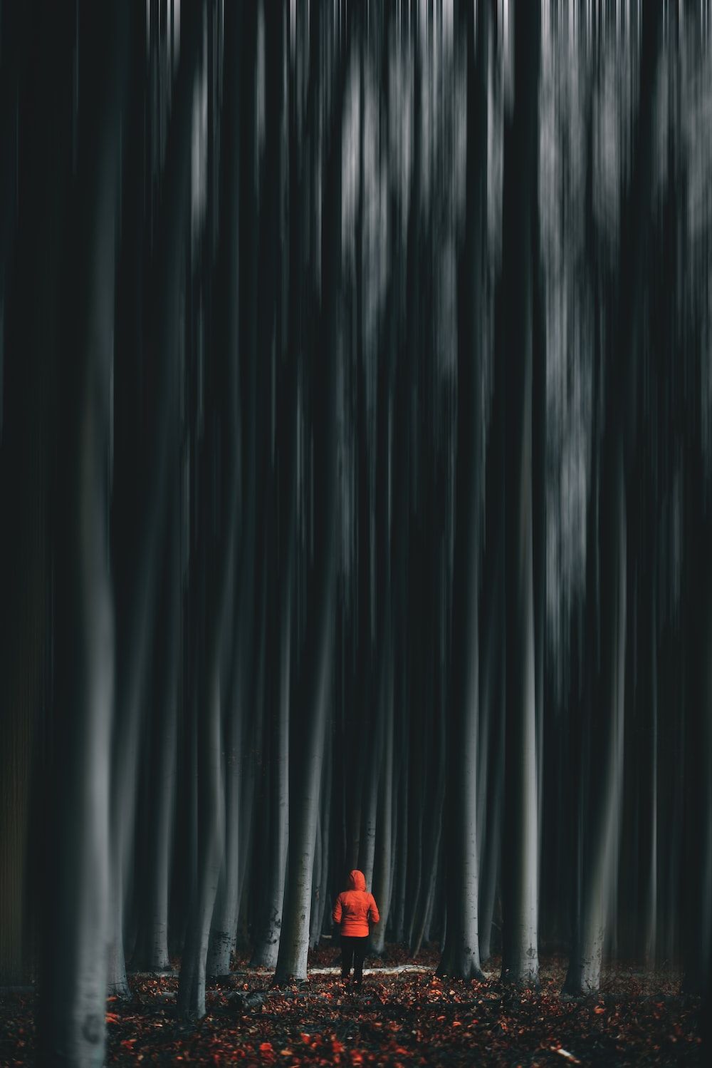 A person in red standing alone among trees - Horror