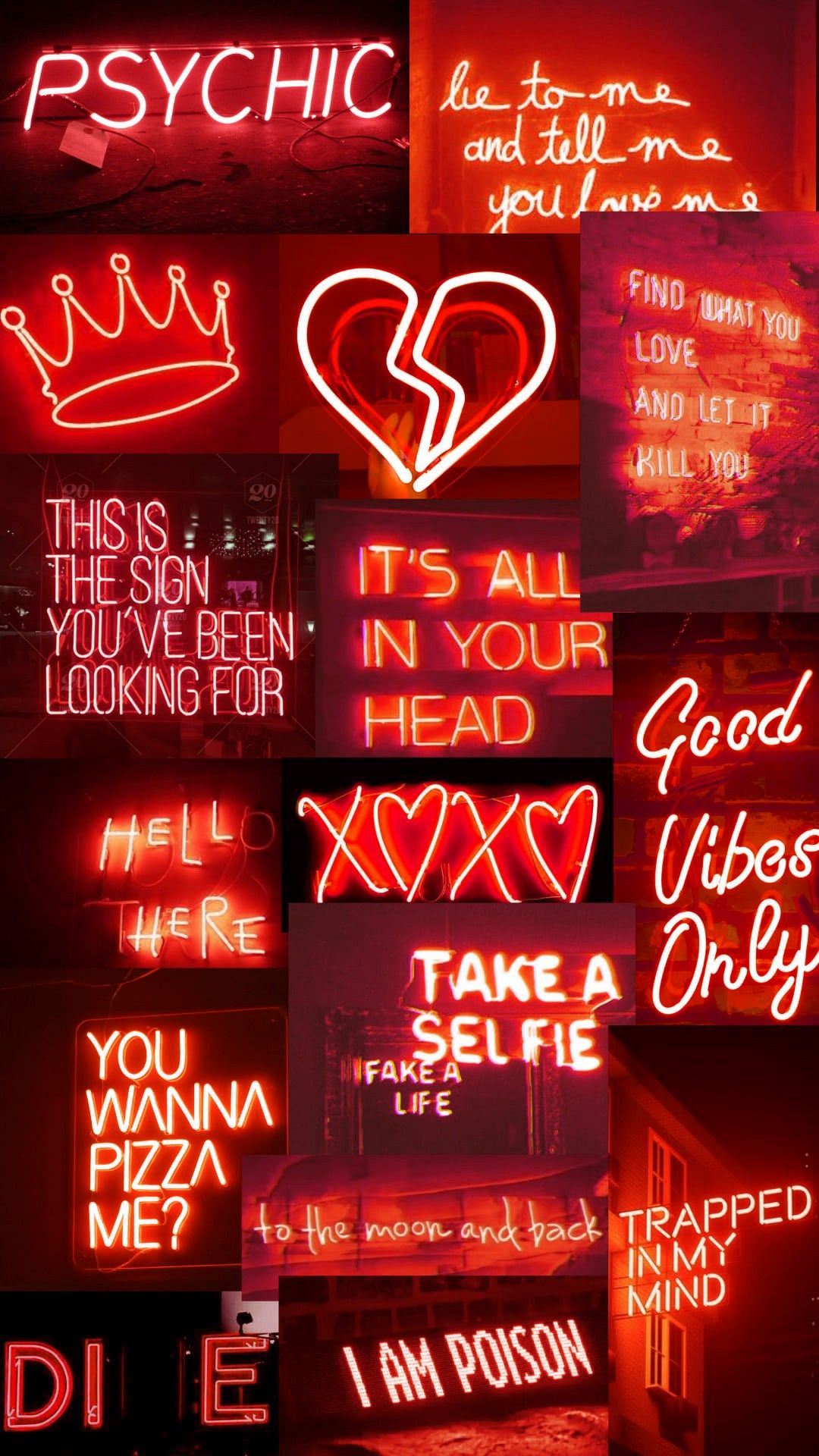 A collection of neon signs with different words - Light red