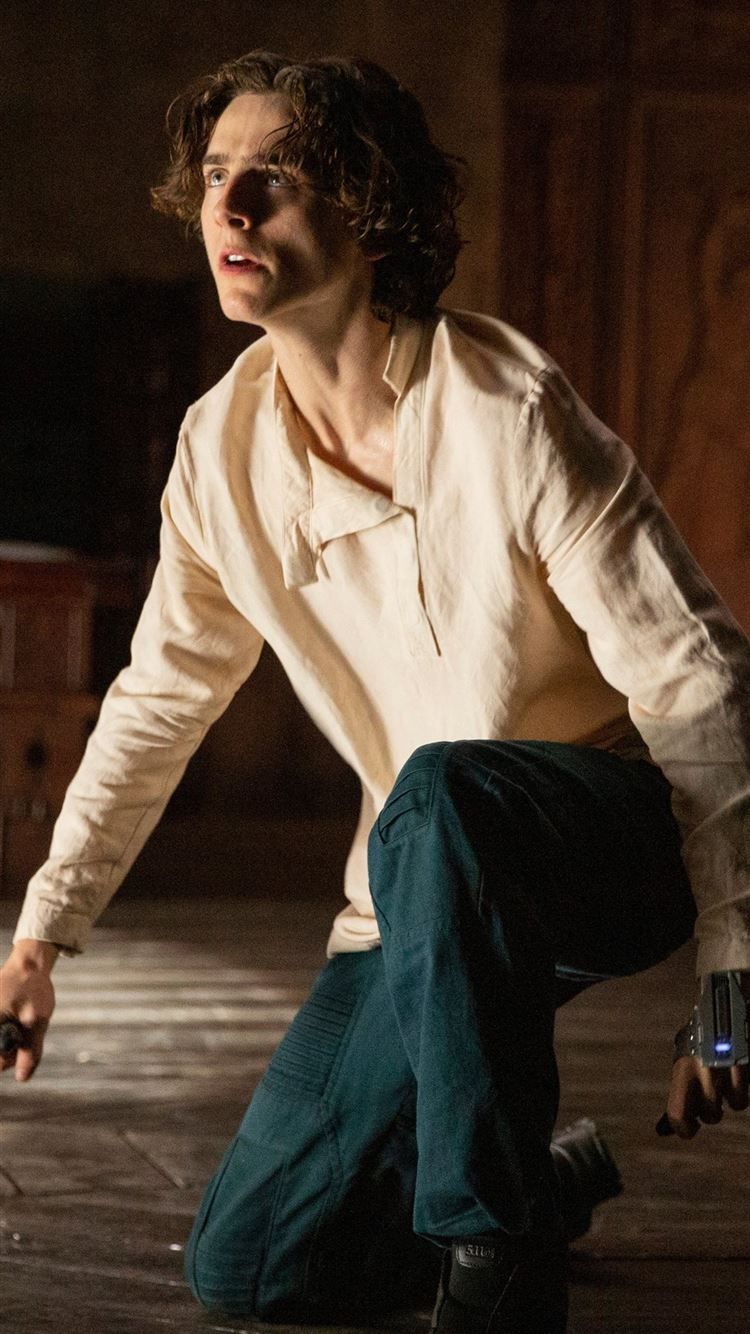 A man with a knife crouching down - Timothee Chalamet