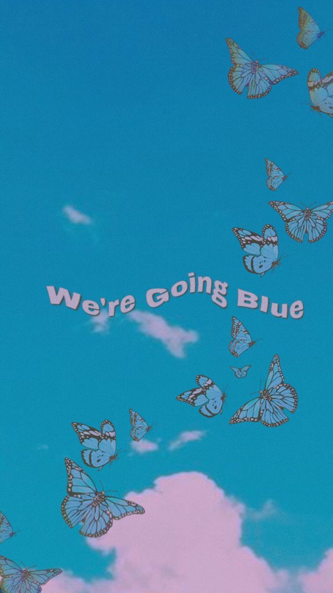 A blue sky with many butterflies flying in it - Profile picture